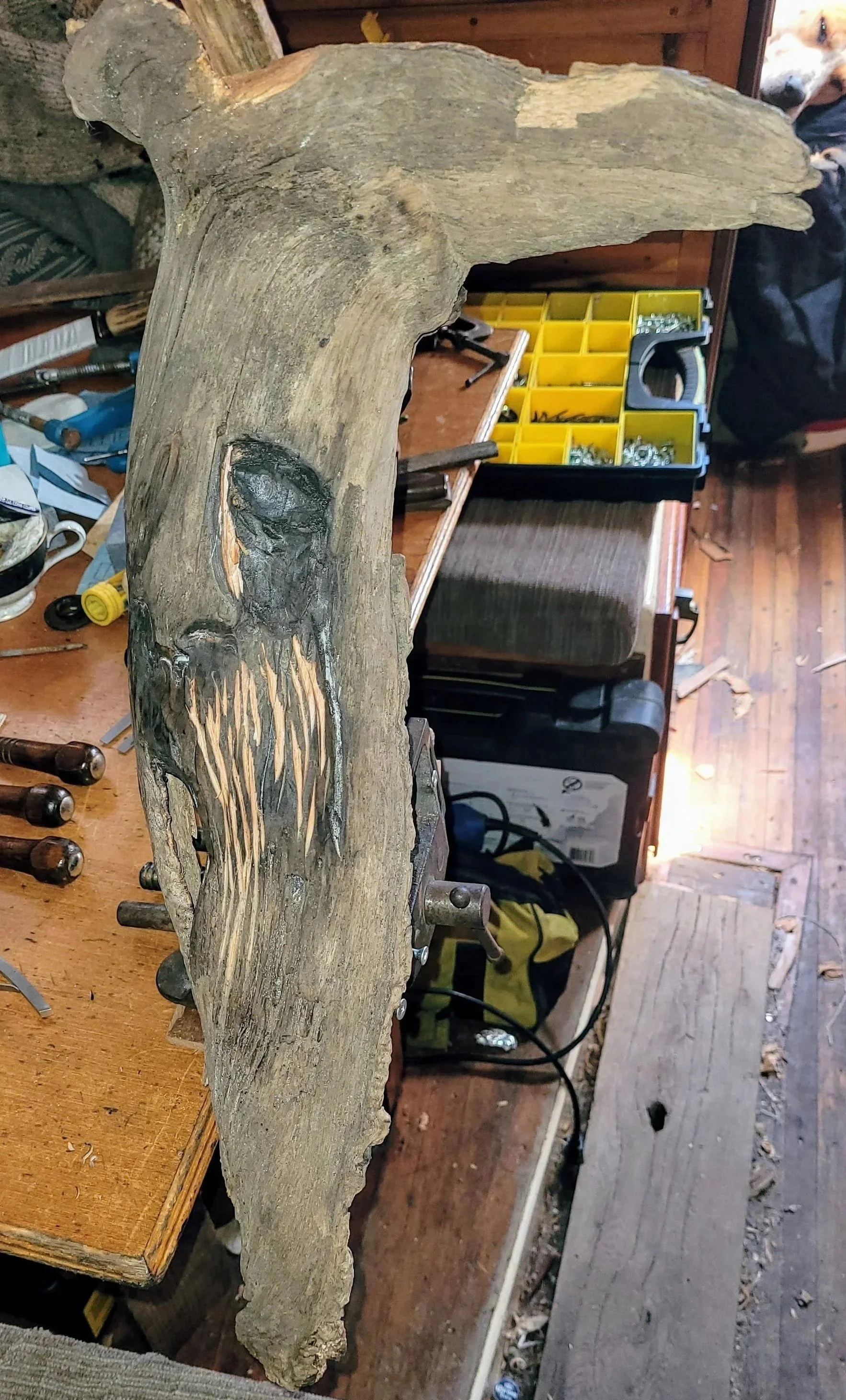wood spirit 