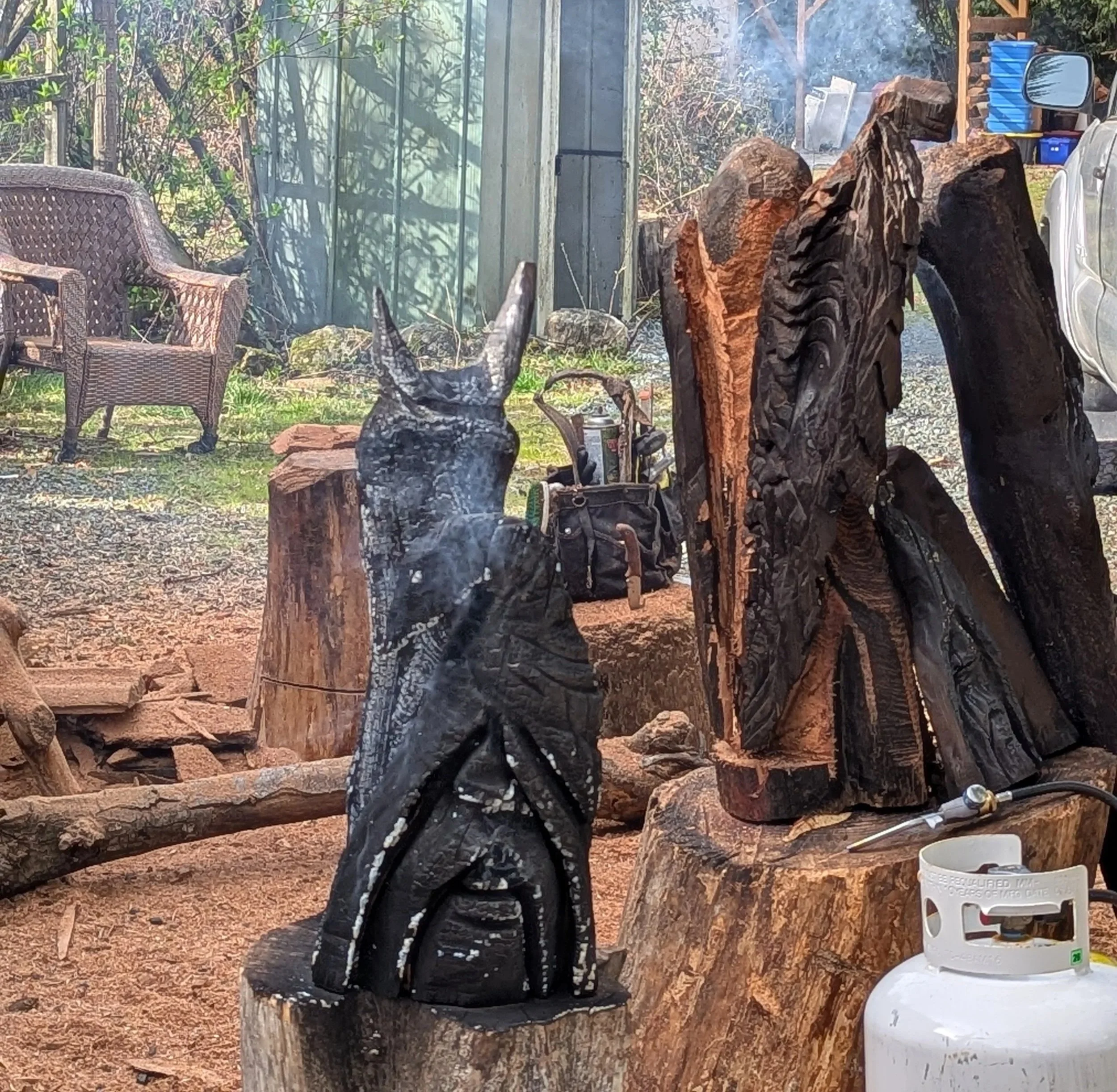 gnome_carving_driftwood.jpg