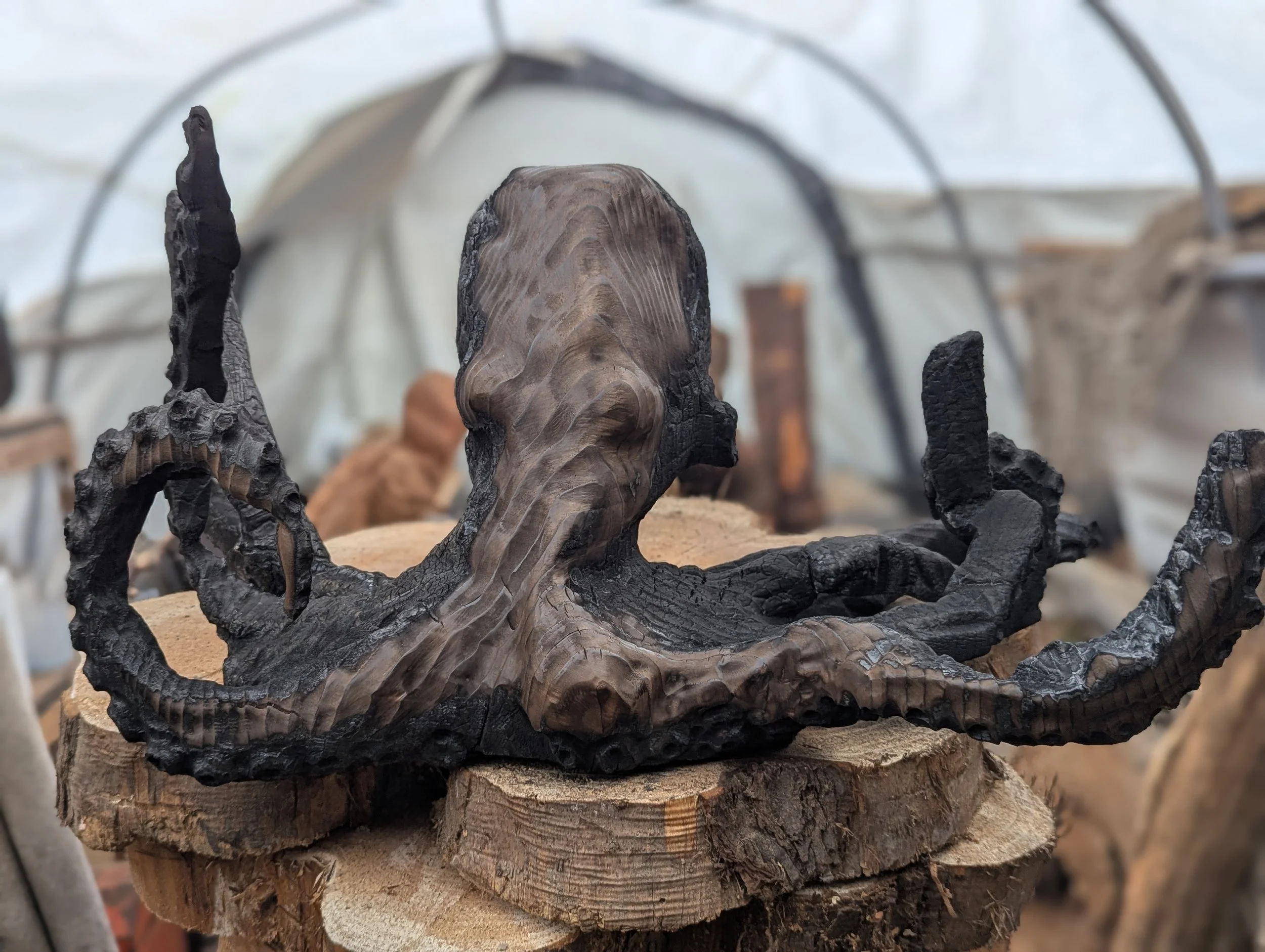 octoopus - after fine details added and second burn.