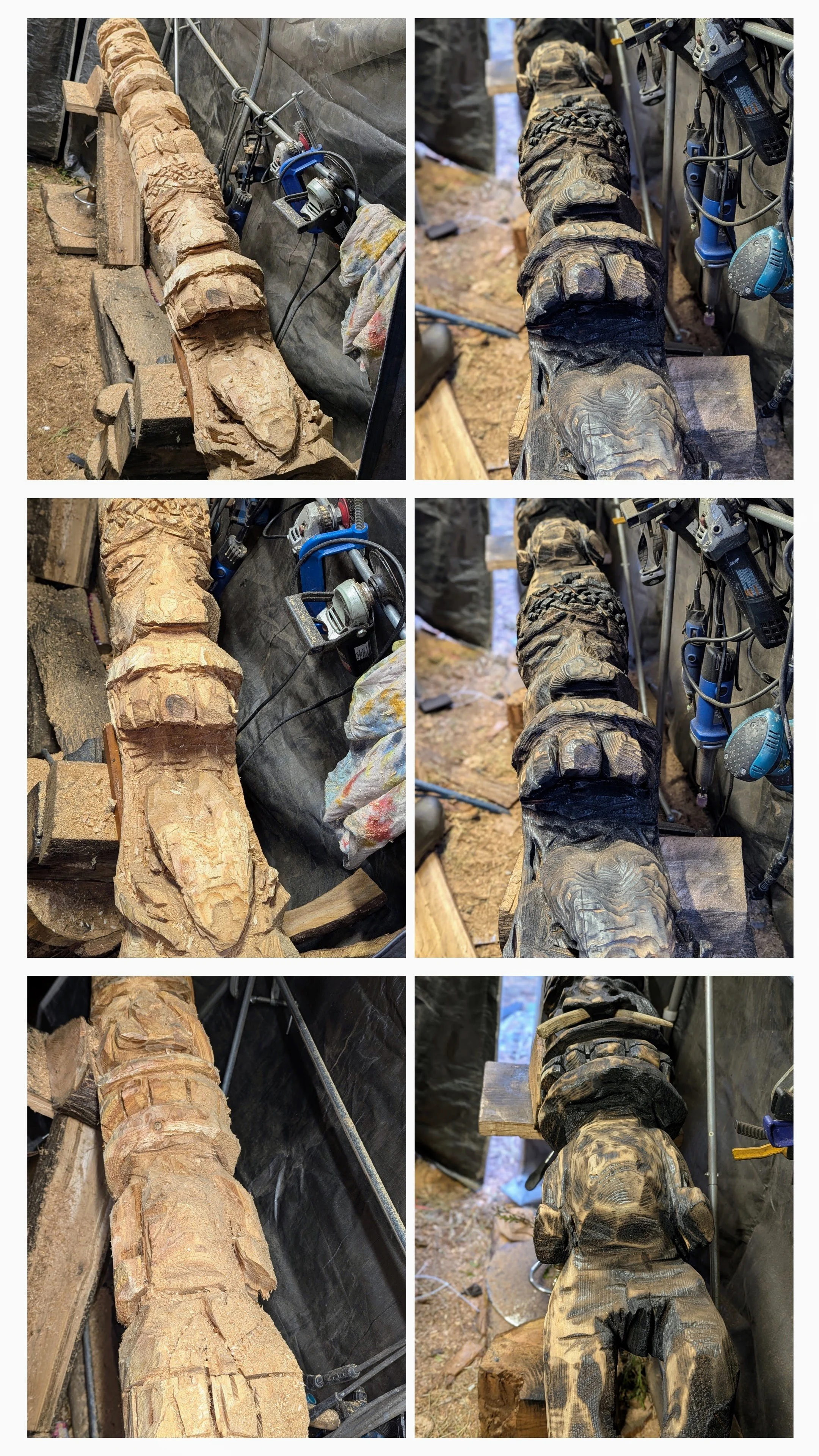 Photos taken approx 19 hours apart
