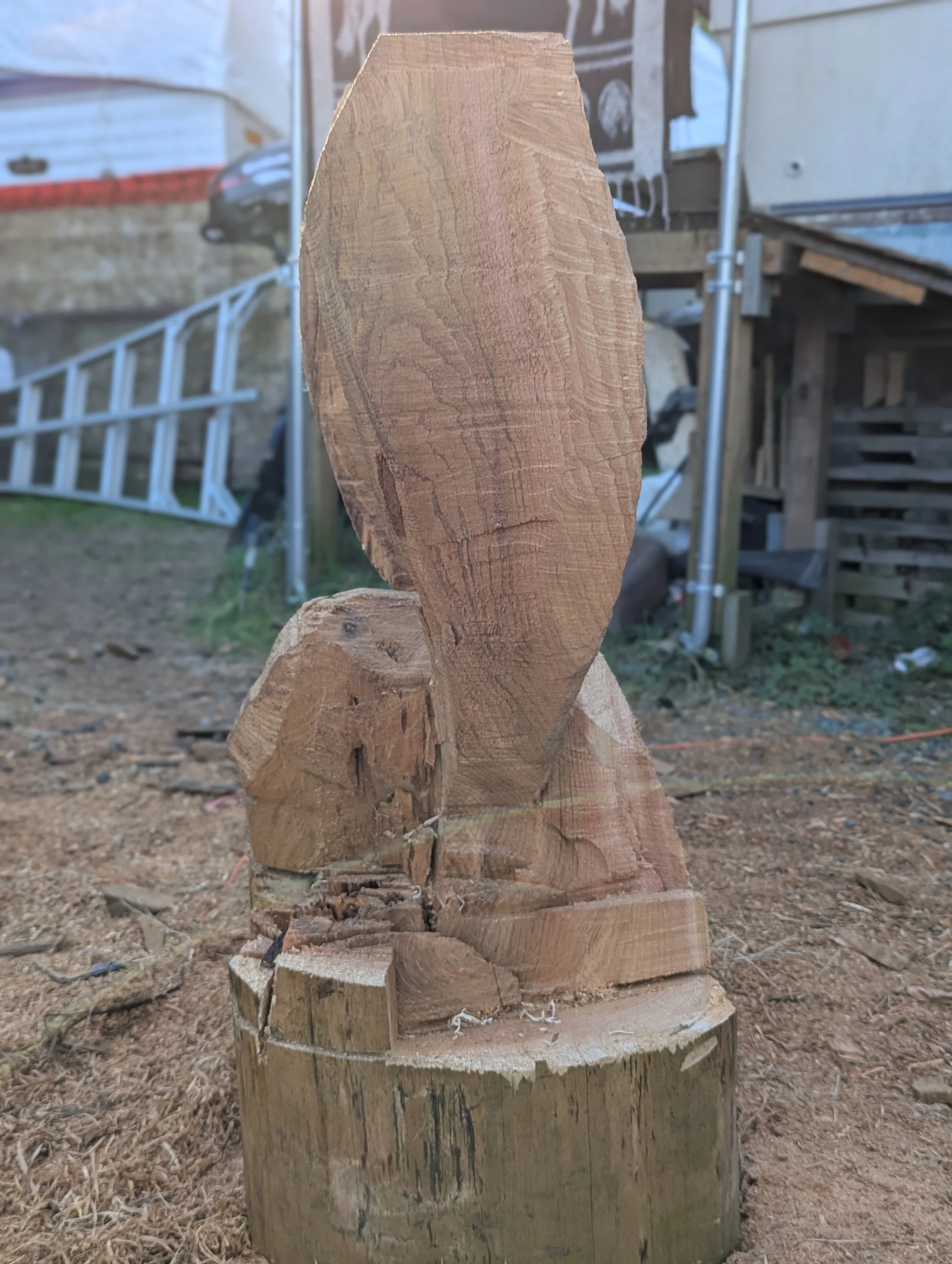 Eagle - in the first stage of carving with chainsaw by Justin Spalek