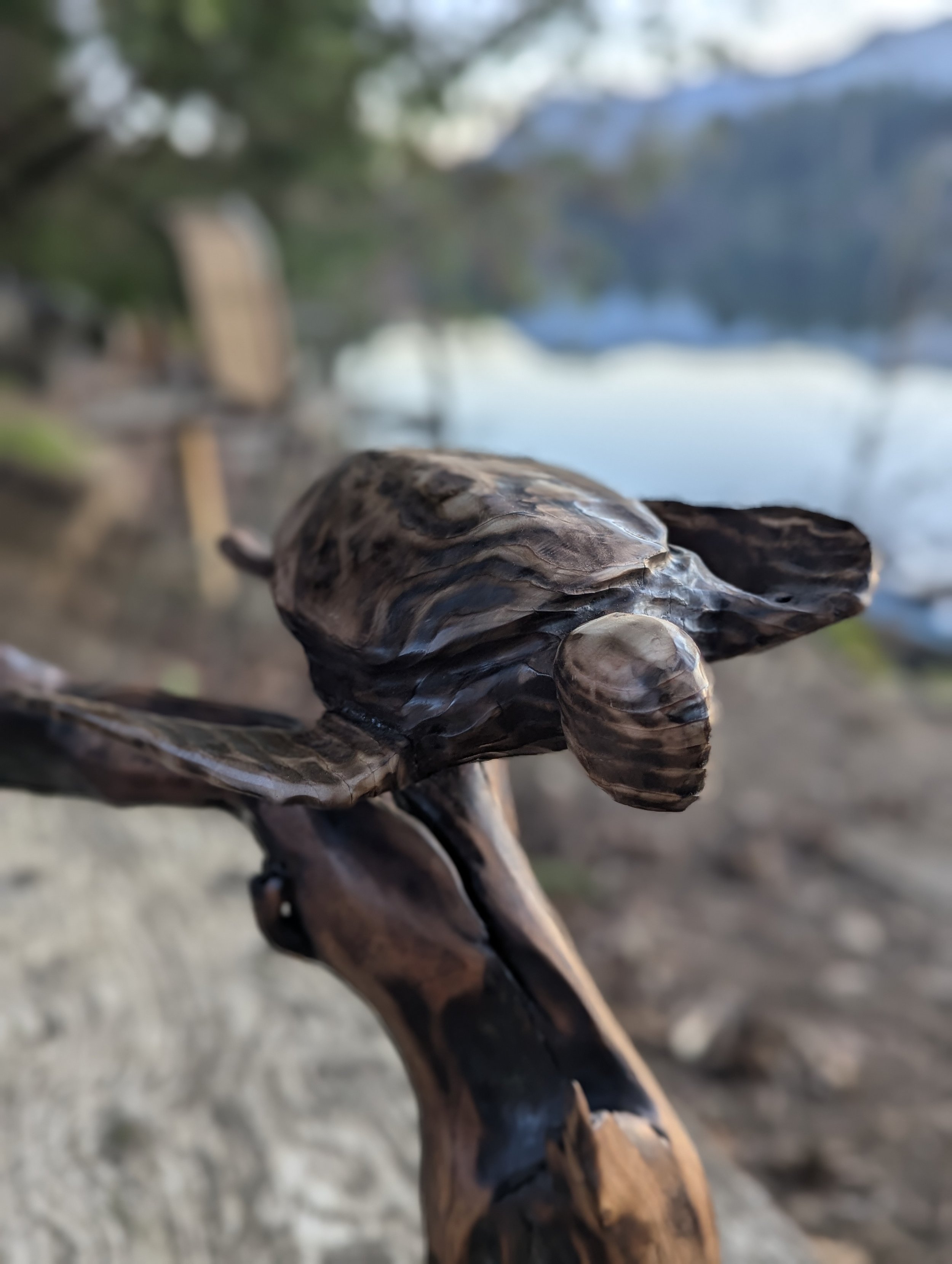  -for sale
"Past Reflections"   