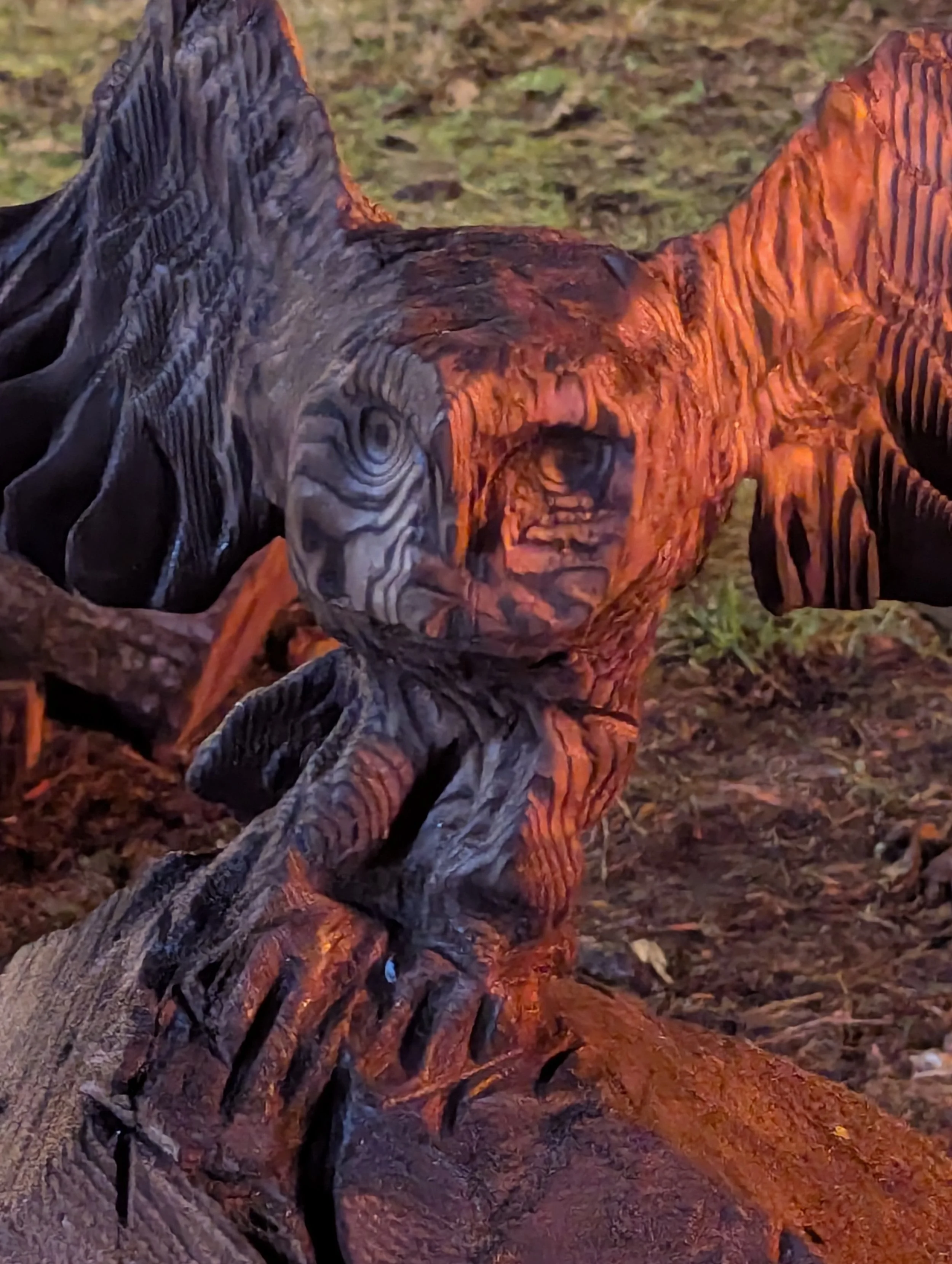 chainsaw_carved_owl_westcoast.jpg