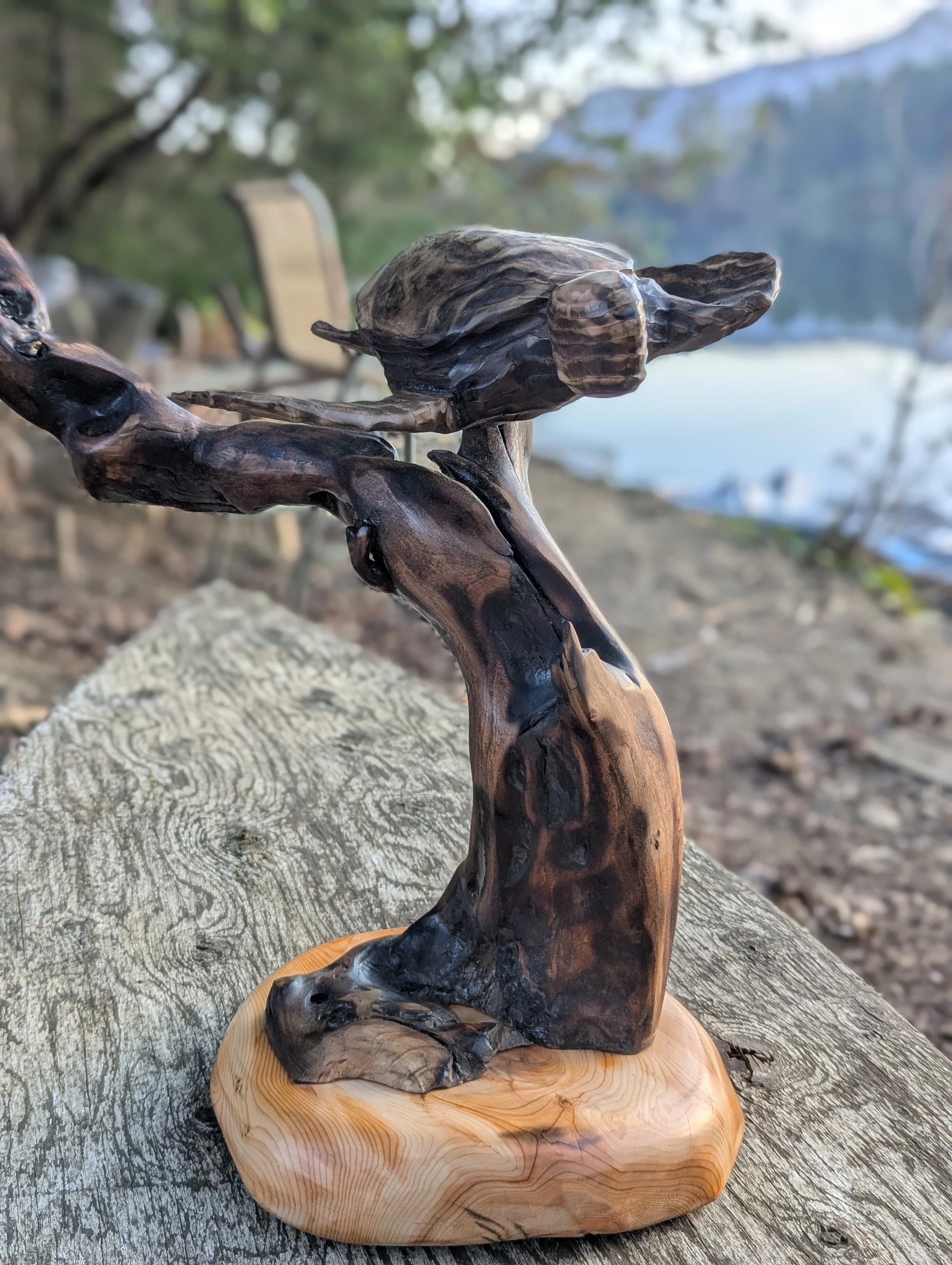  -for sale
"Past Reflections" 