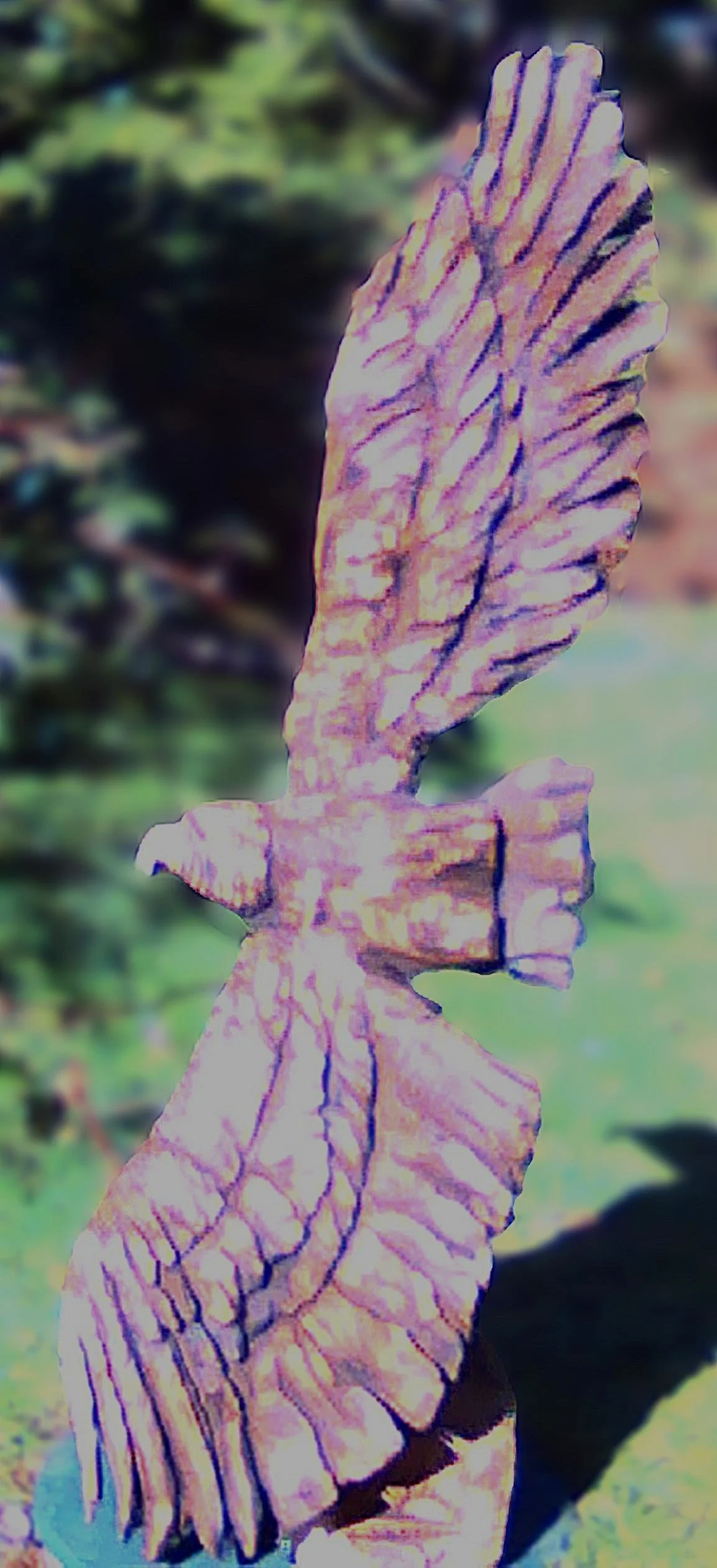 eagle - sold
