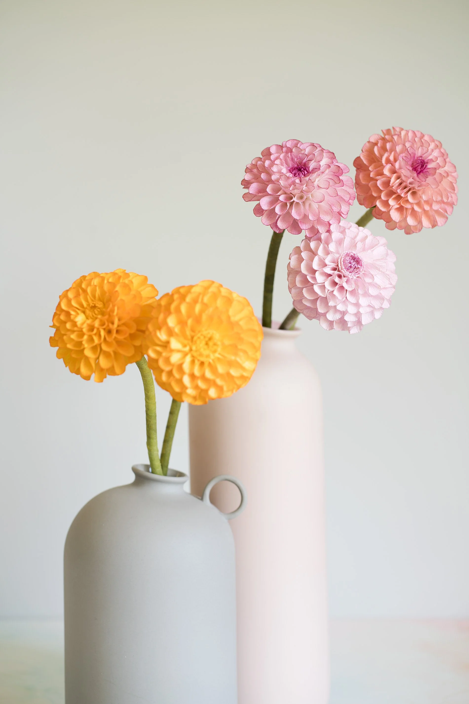 Colorful pom-pom flowers in white porcelain vases with pastel background.