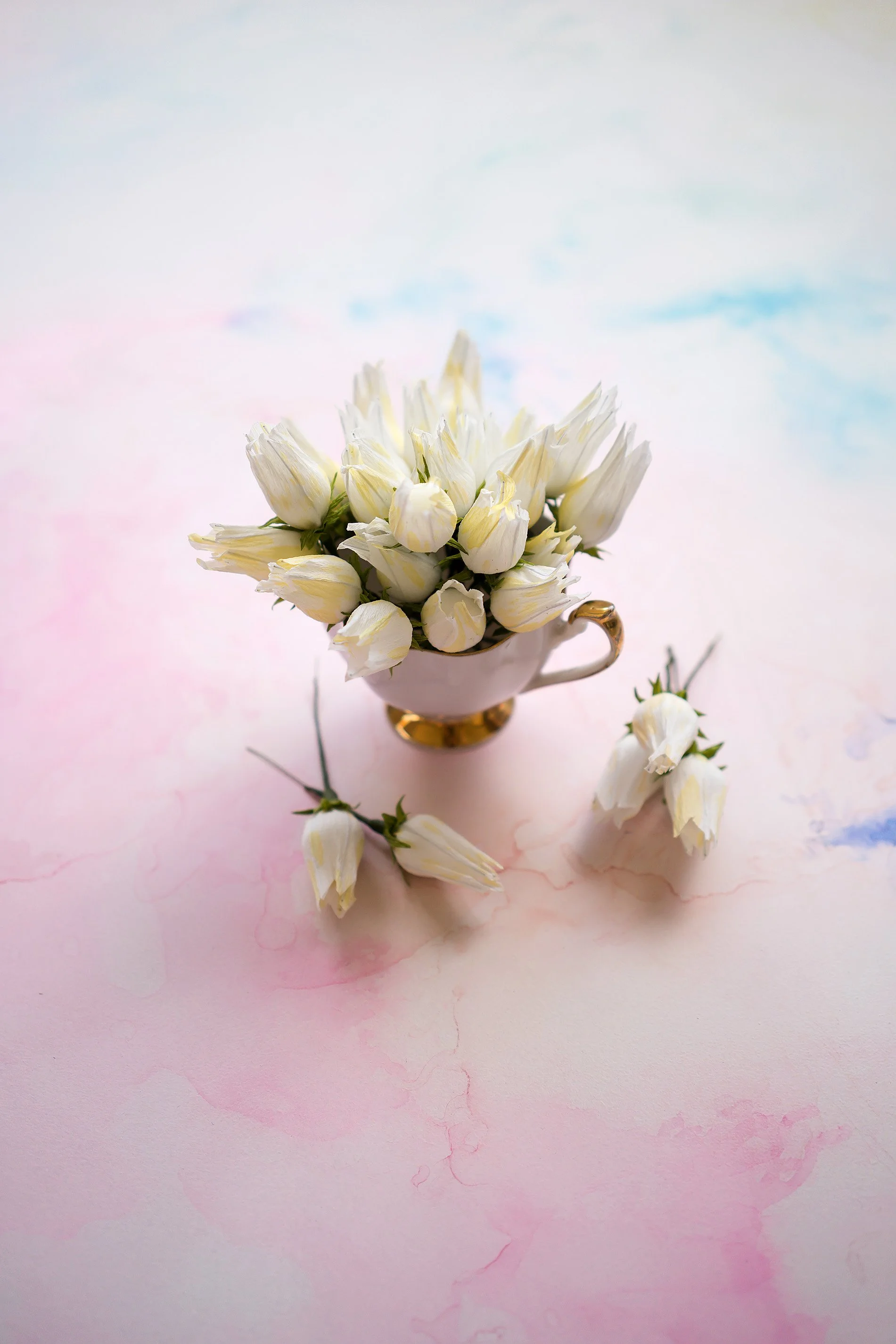 A white teacup with gold accents filled with white tulips, placed on a pastel pink and blue background with some loose tulips around the cup.
