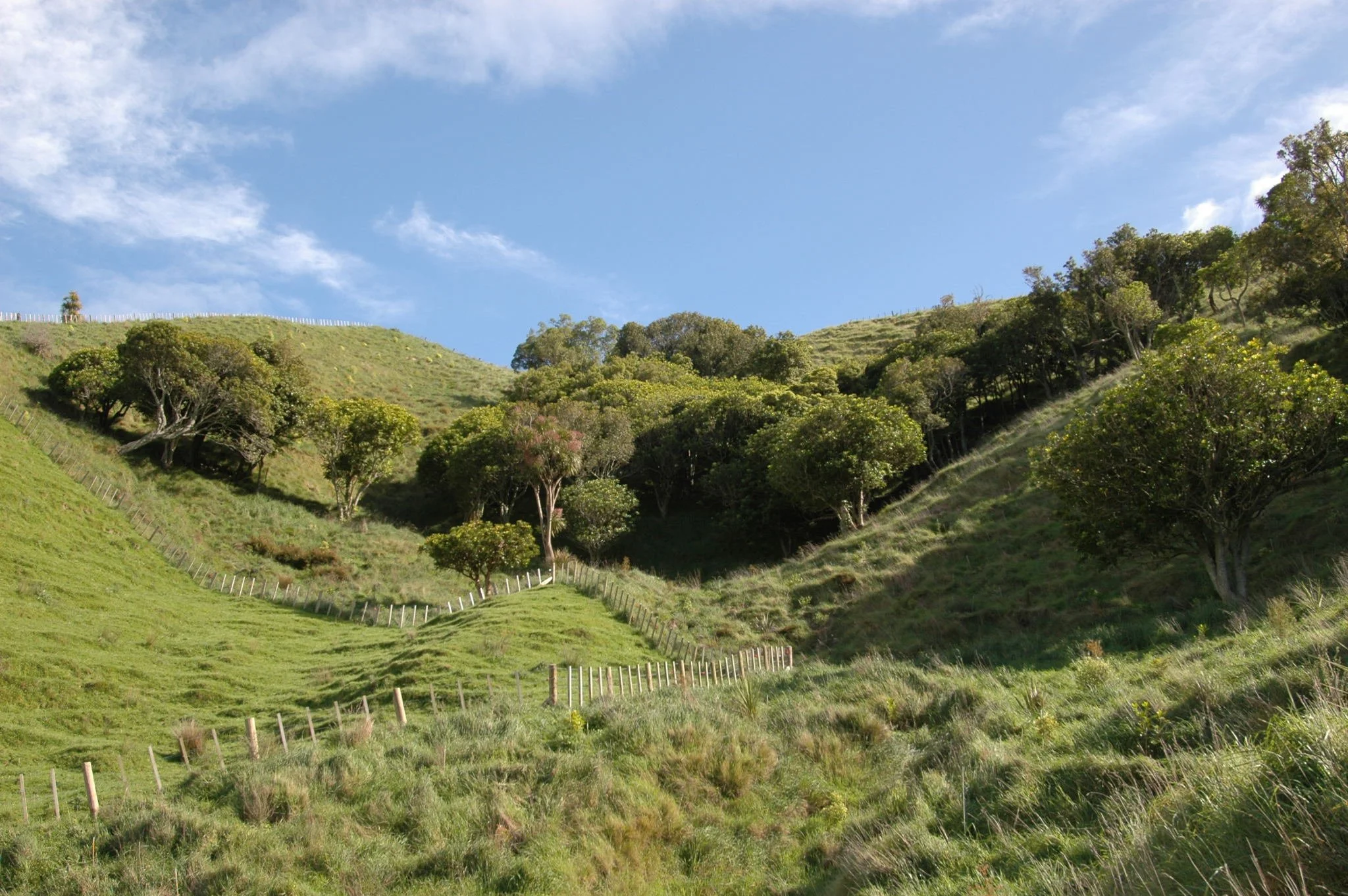 Green rolling hills with trees and bushes under a partly cloudy blue sky.