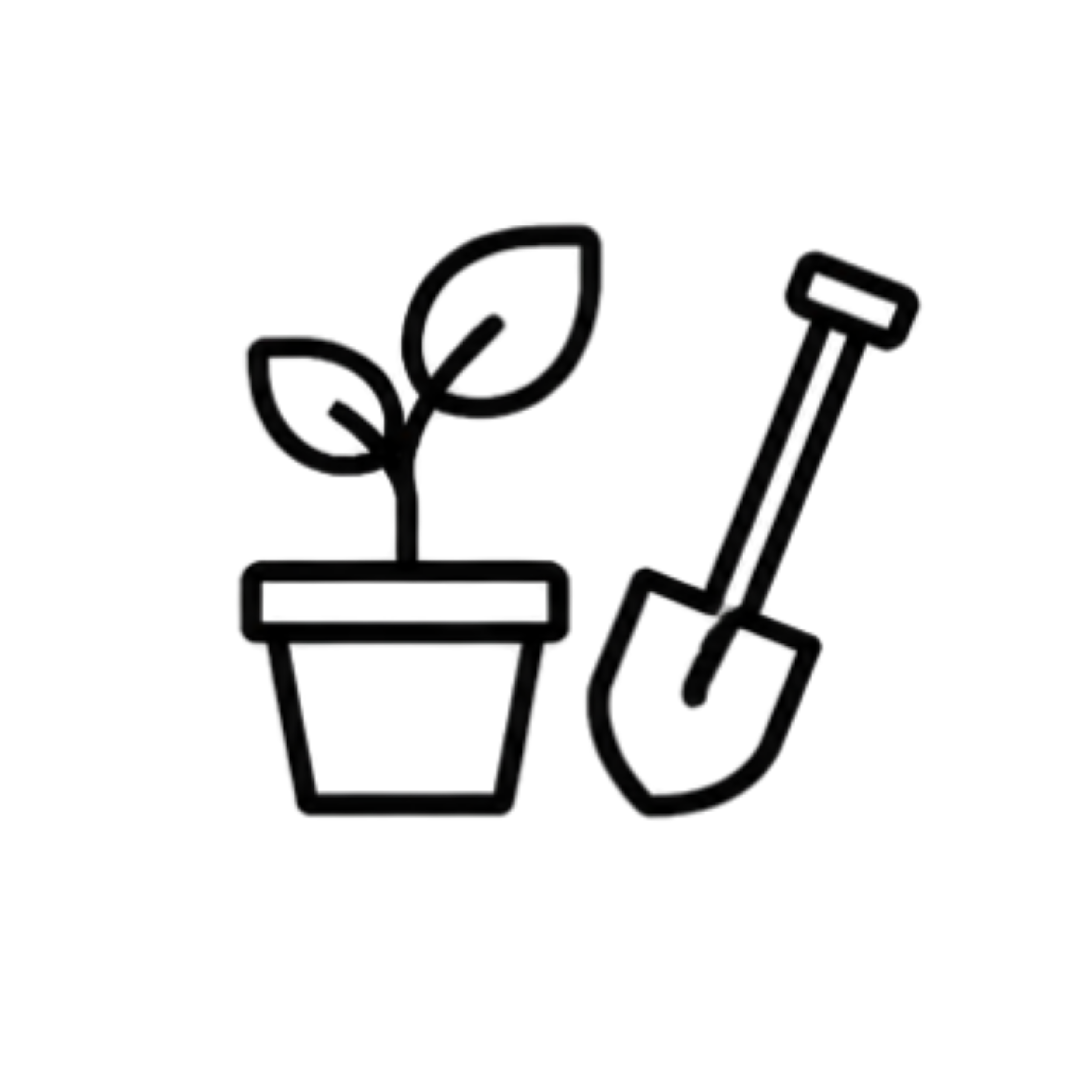 Black and white sketch of a rose with a banner underneath.