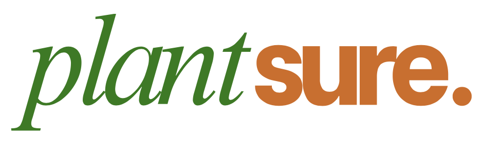 Your Site Title (Copy)