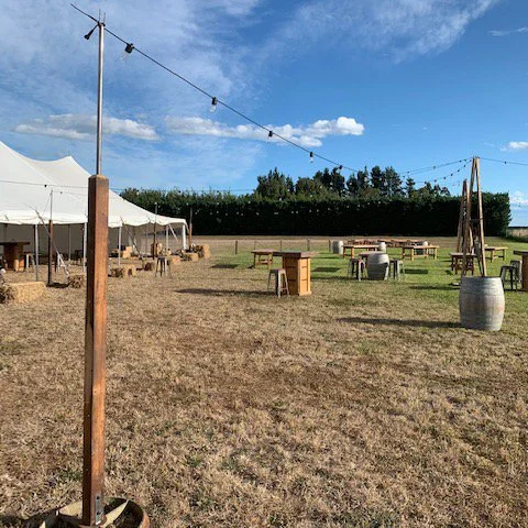 Standard Festoon Pole