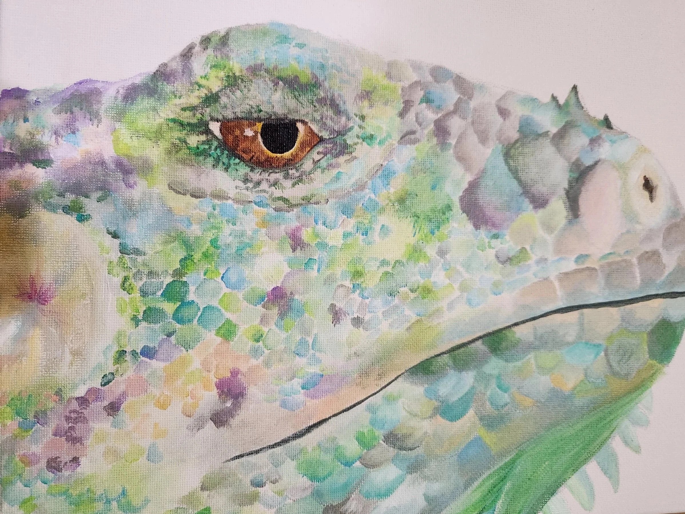 Dream Of The Iguana