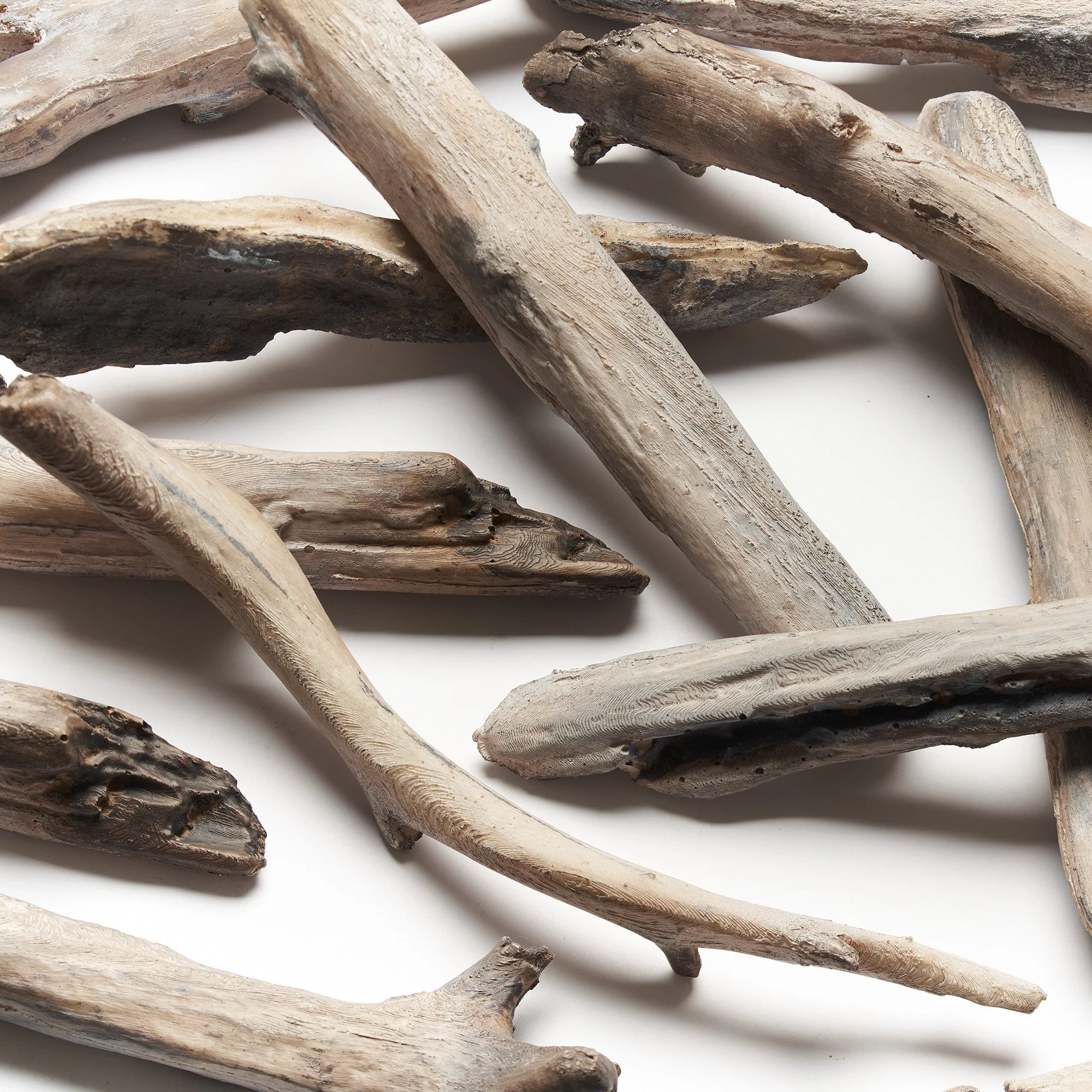 Evolve_Driftwood%20Media_2000px.jpg (Copy) (Copy) (Copy)