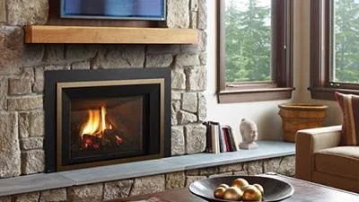 Regency® Liberty® LRI6E Gas Insert
Large gas insert with a traditional log set. The LRI6E has an expansive viewing area and comes with an electronic ignition system, fan and ceramic glass.