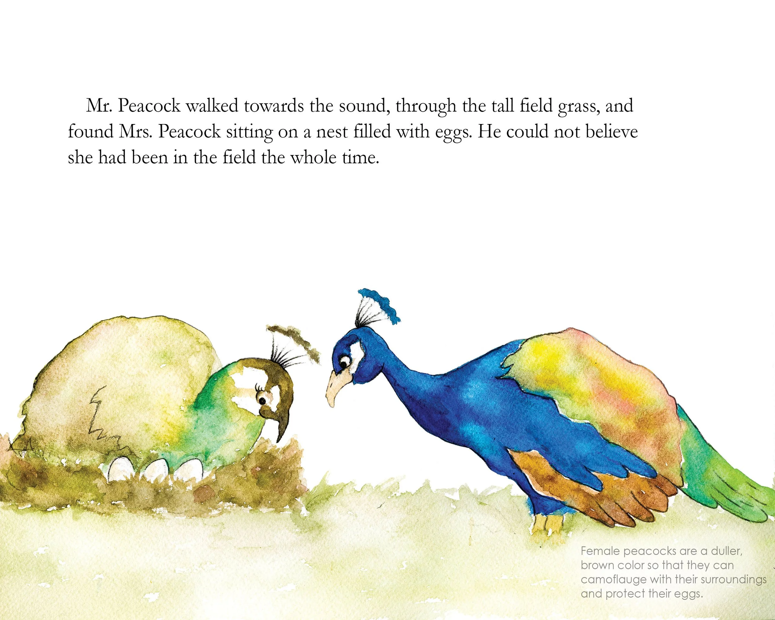 PAGE8RIGHTSIZE.jpg