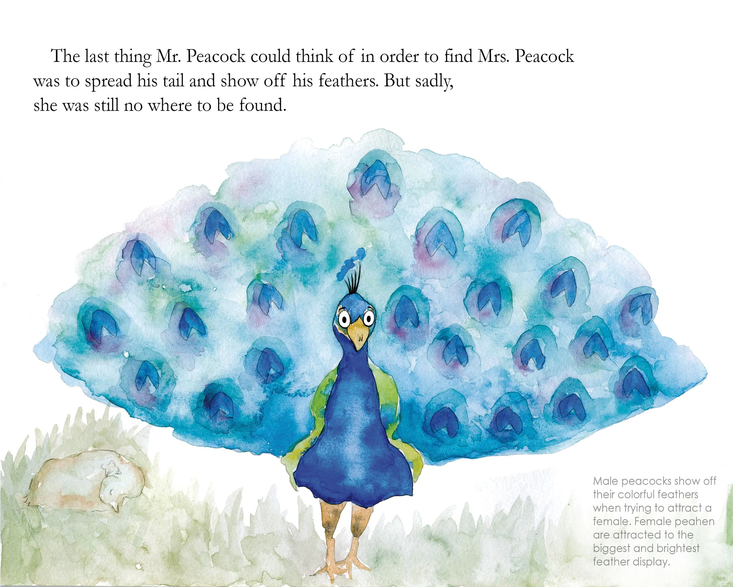 PAGE6RIGHTSIZE.jpg