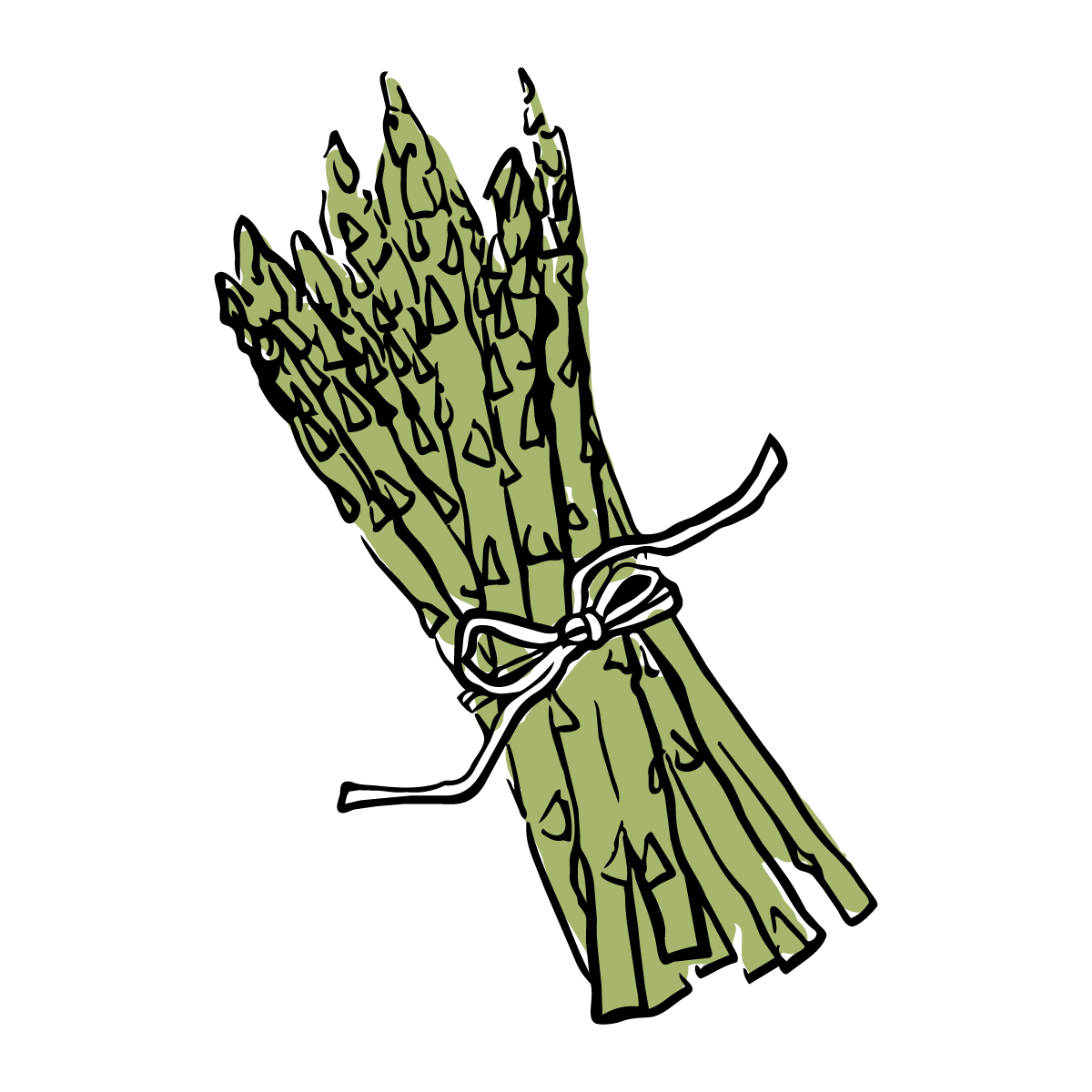 Bloomsday_Asparagus_Illustration.png
