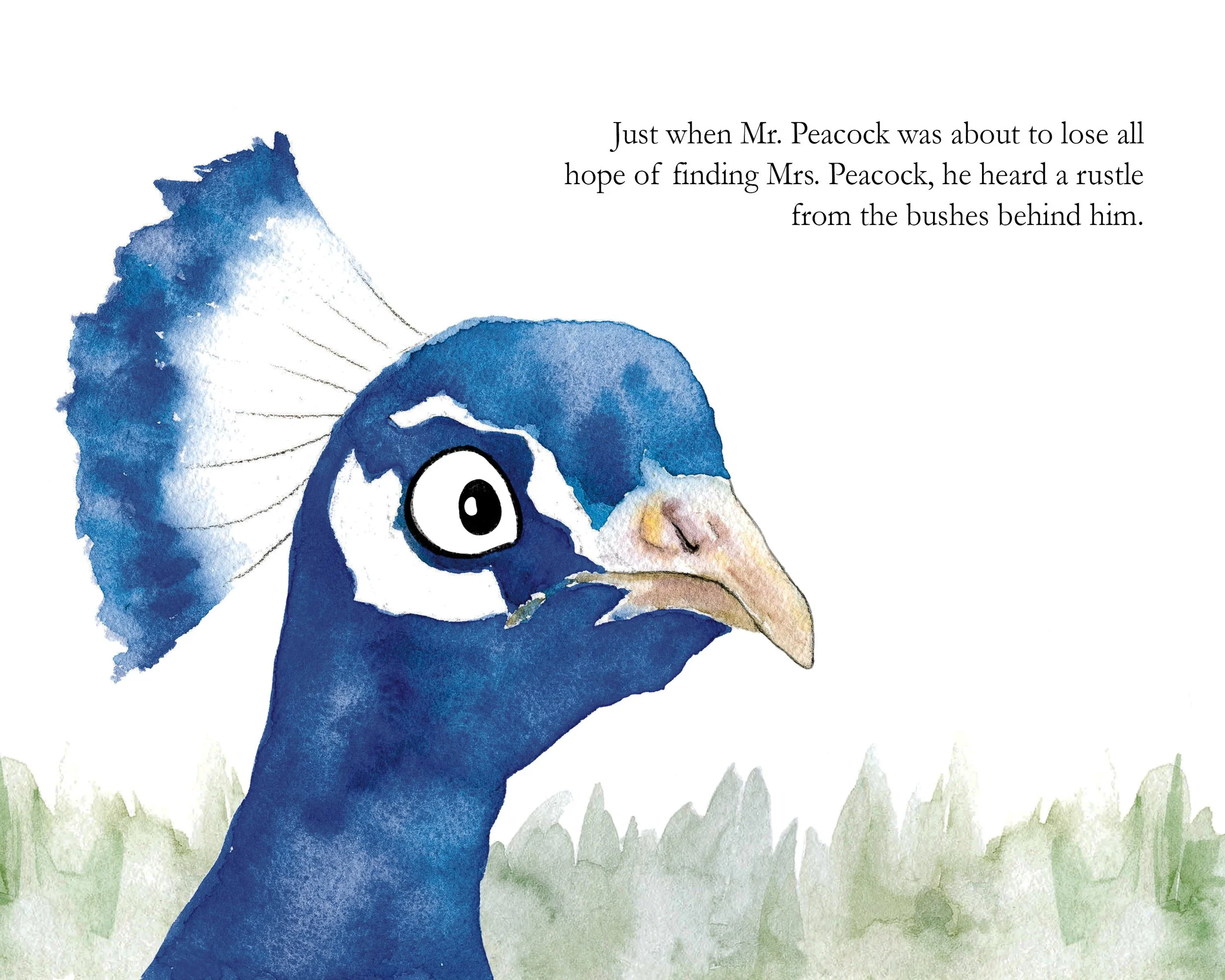 PAGE7RIGHTSIZE.jpg