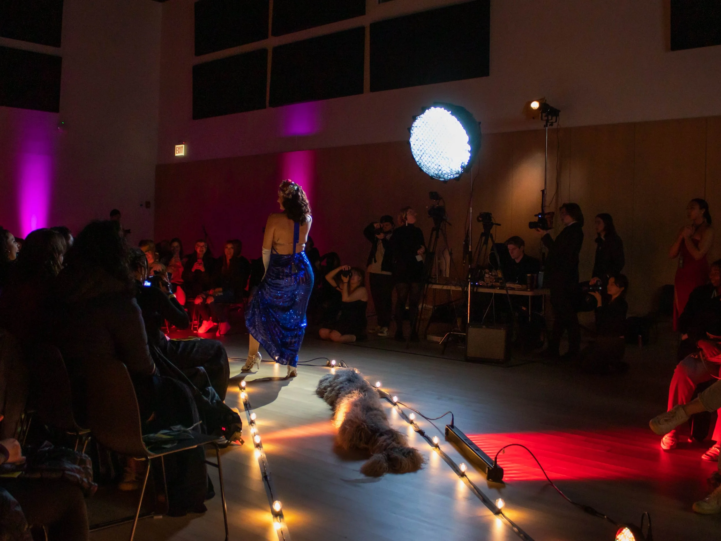 A runway with a model walking on it, wearing a blue dress, with a dog lying on the floor, surrounded by an audience, cameras, and lights in a fashion show environment.