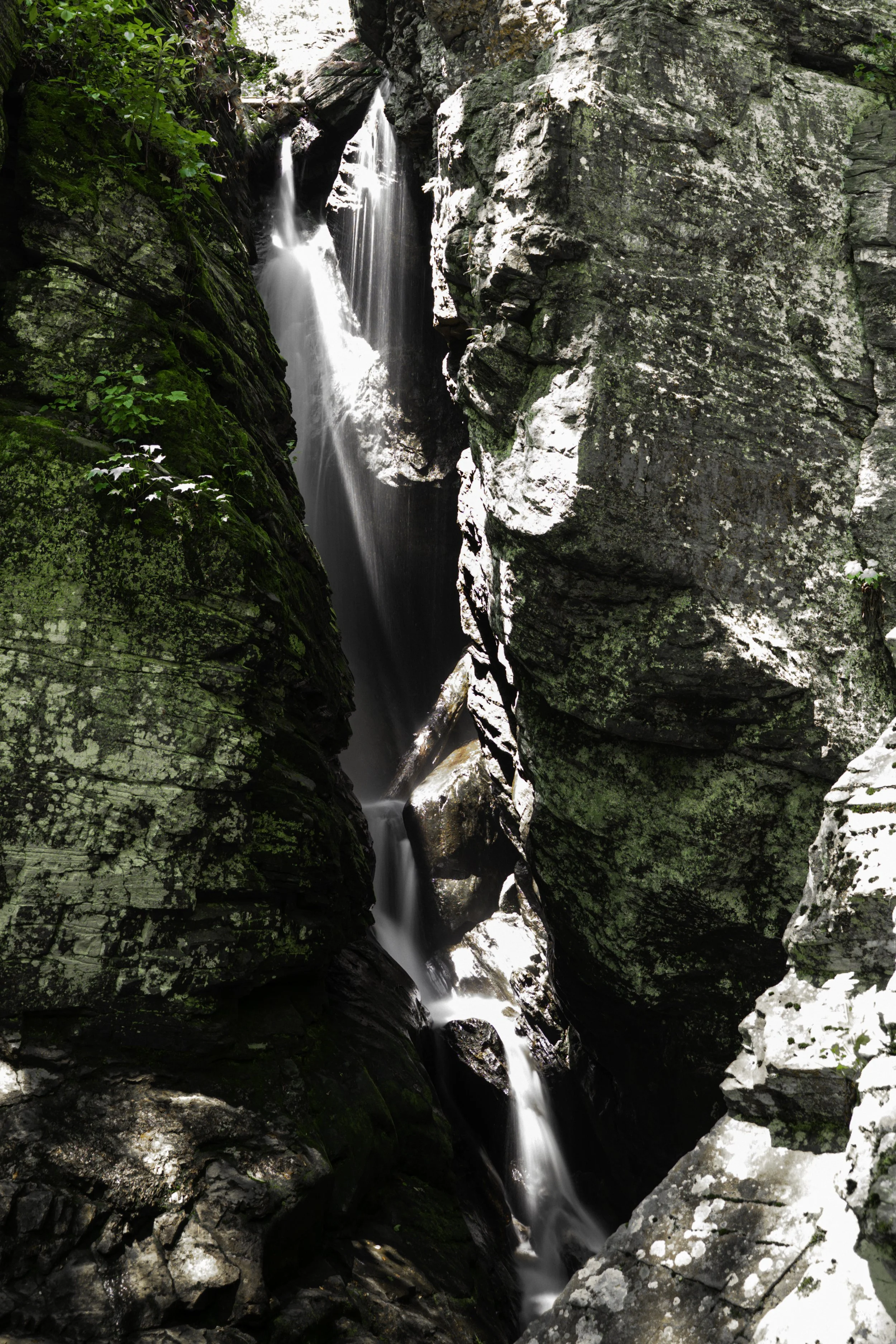 A narrow canyon with a small waterfall flowing between large moss-covered rocks.