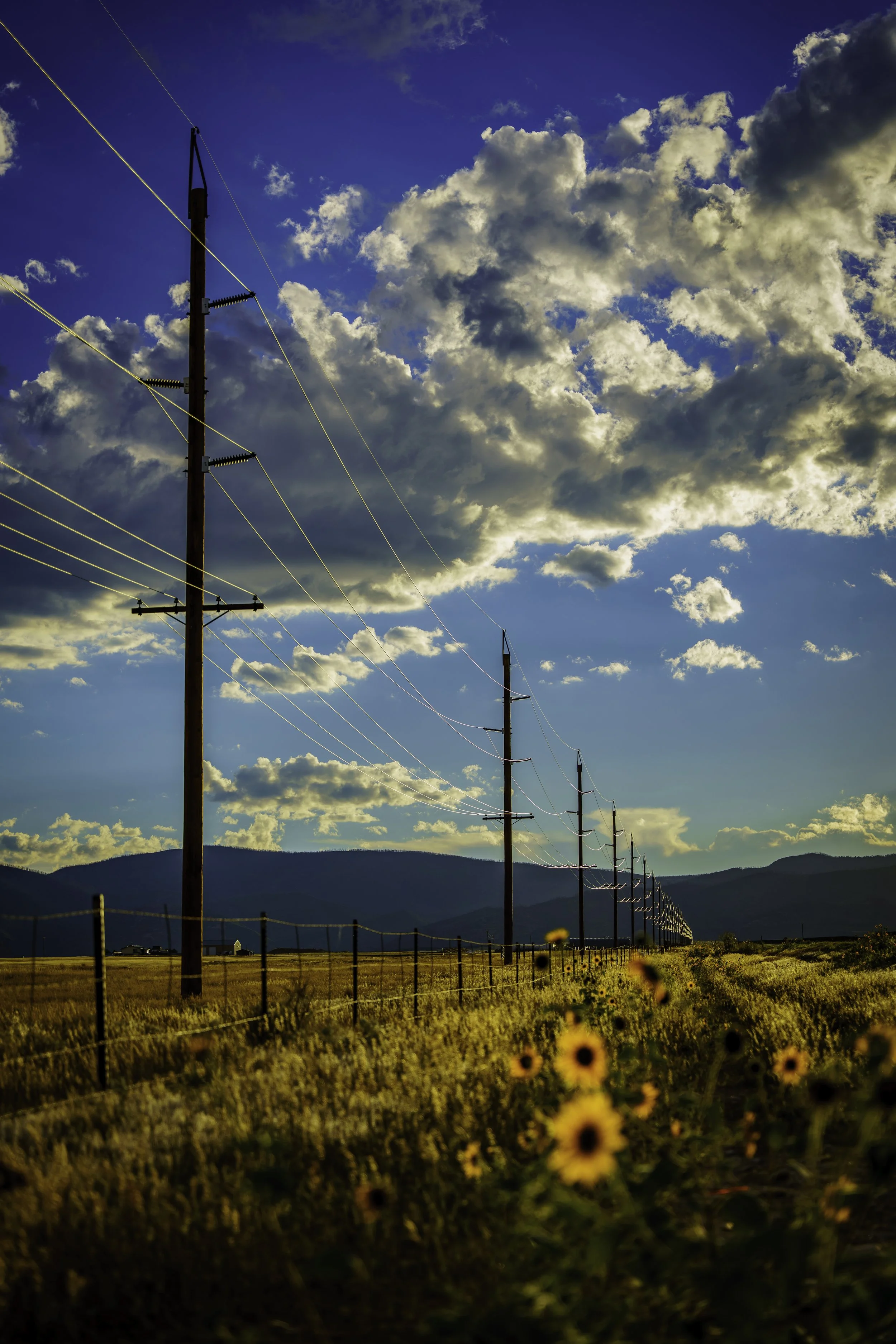 A rural landscape featuring power lines stretching across a field with yellow flowers under a blue sky with scattered clouds and mountains in the background.