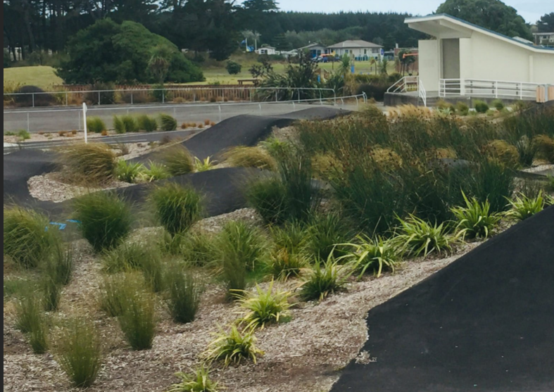 Proposed Glendowie Park Pump Track – What You Need to Know