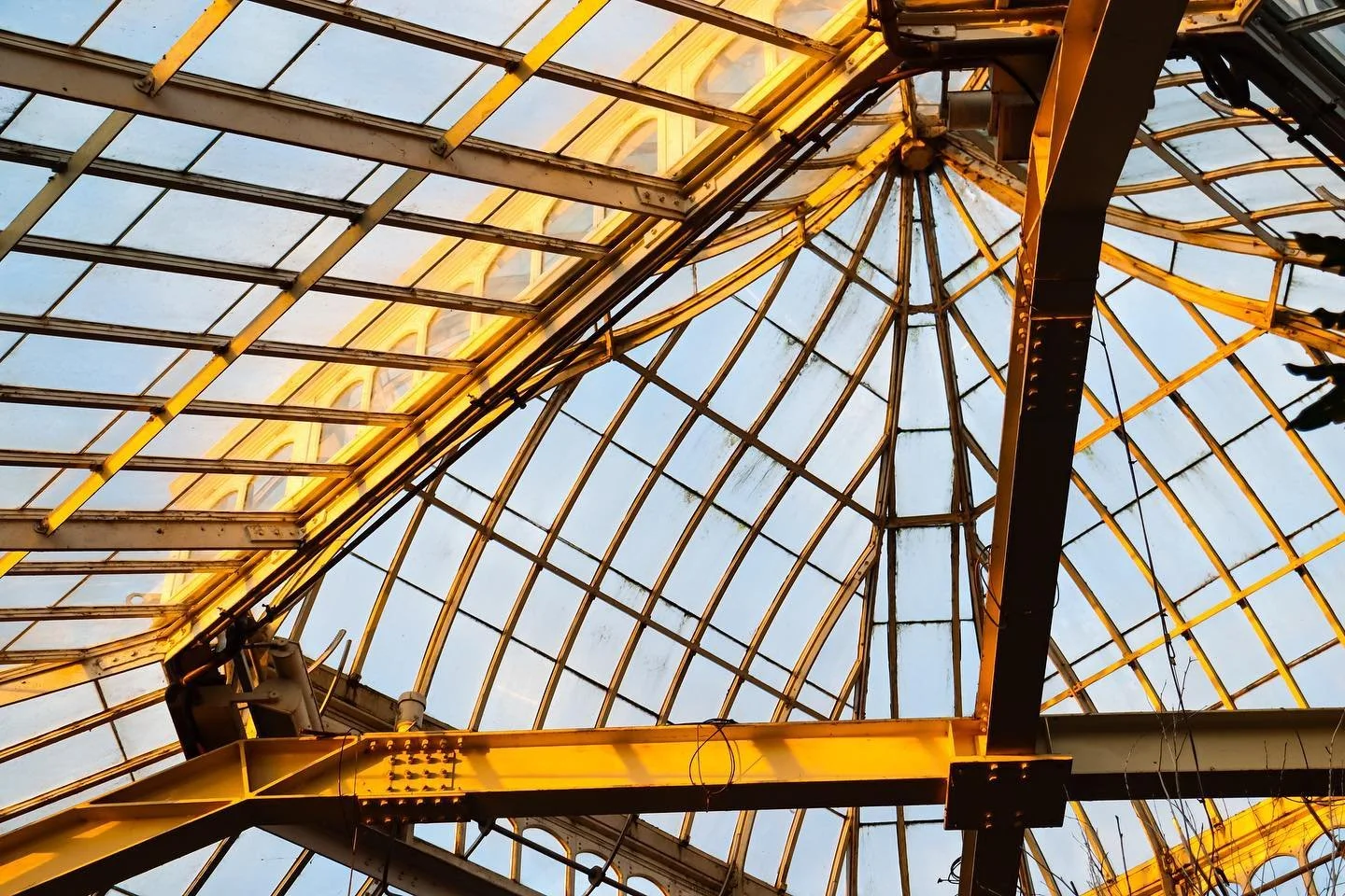 // Phipps 4/10 \\

&bull;
&bull;
&bull;

#phippsconservatory #sunsetphotography #photography