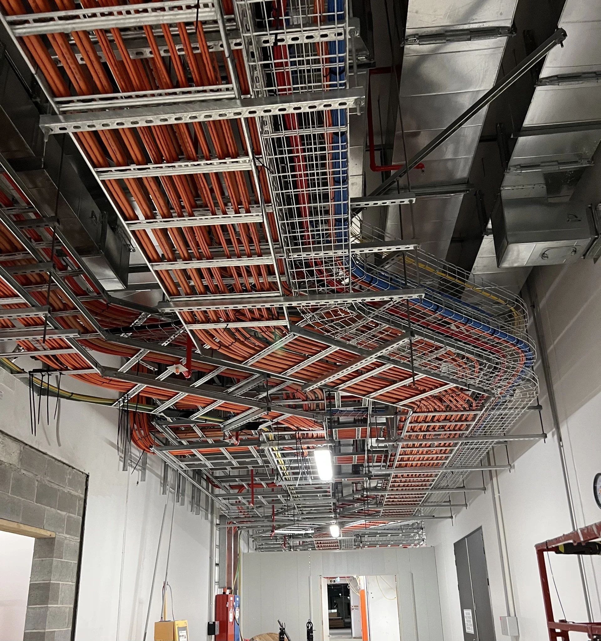 Ceiling with organized orange and blue wiring and cables, metal wire racks, and electrical panels in an industrial or commercial setting.
