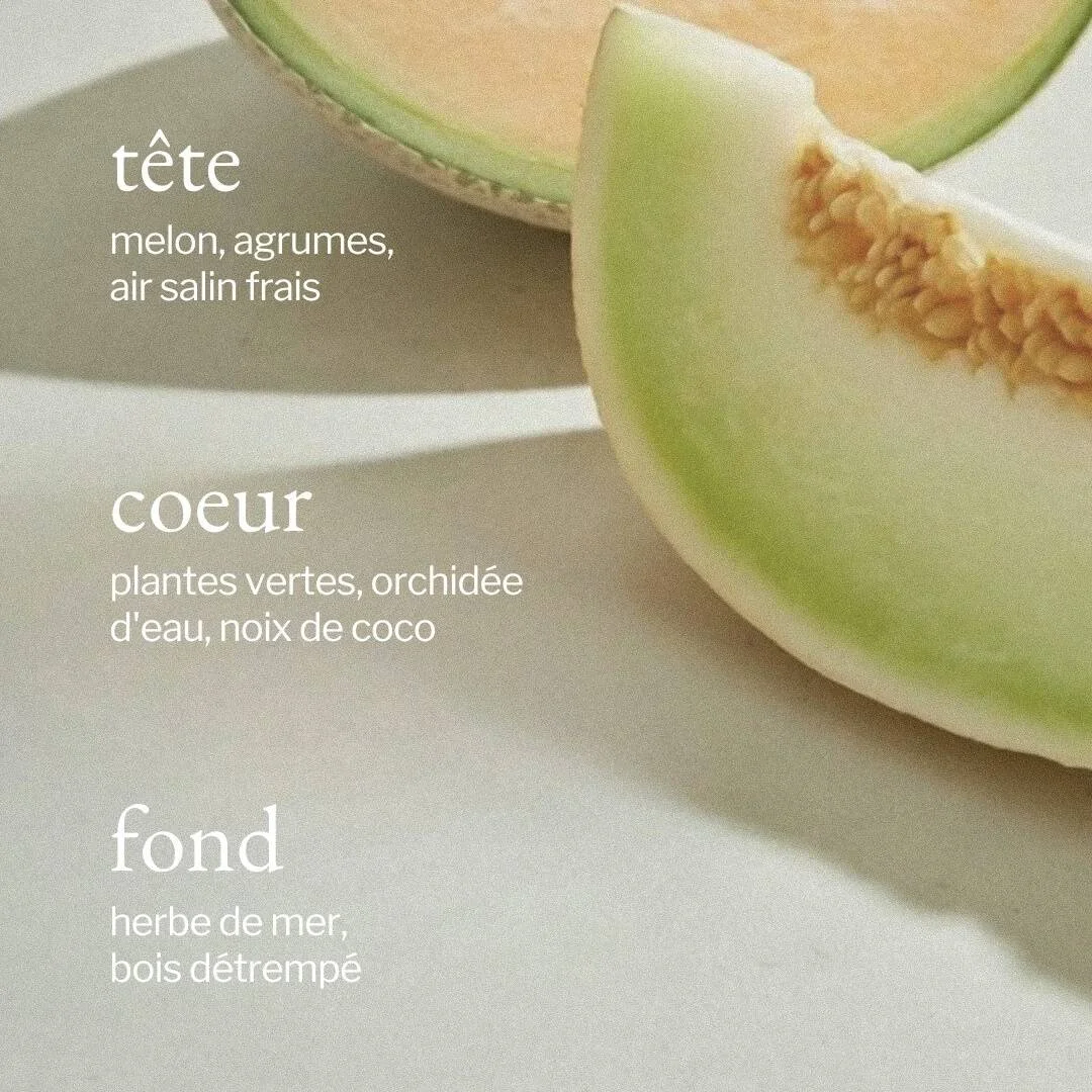 Melon.jpg