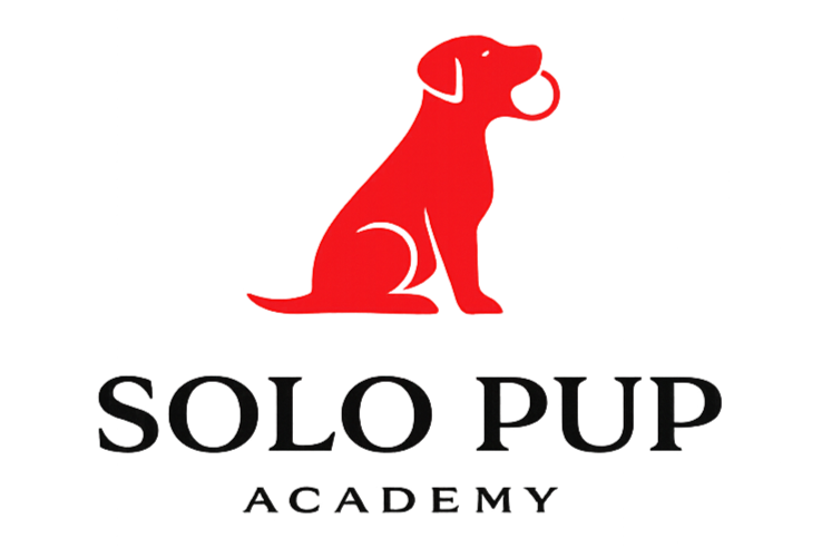 Solo Pup Acadmey