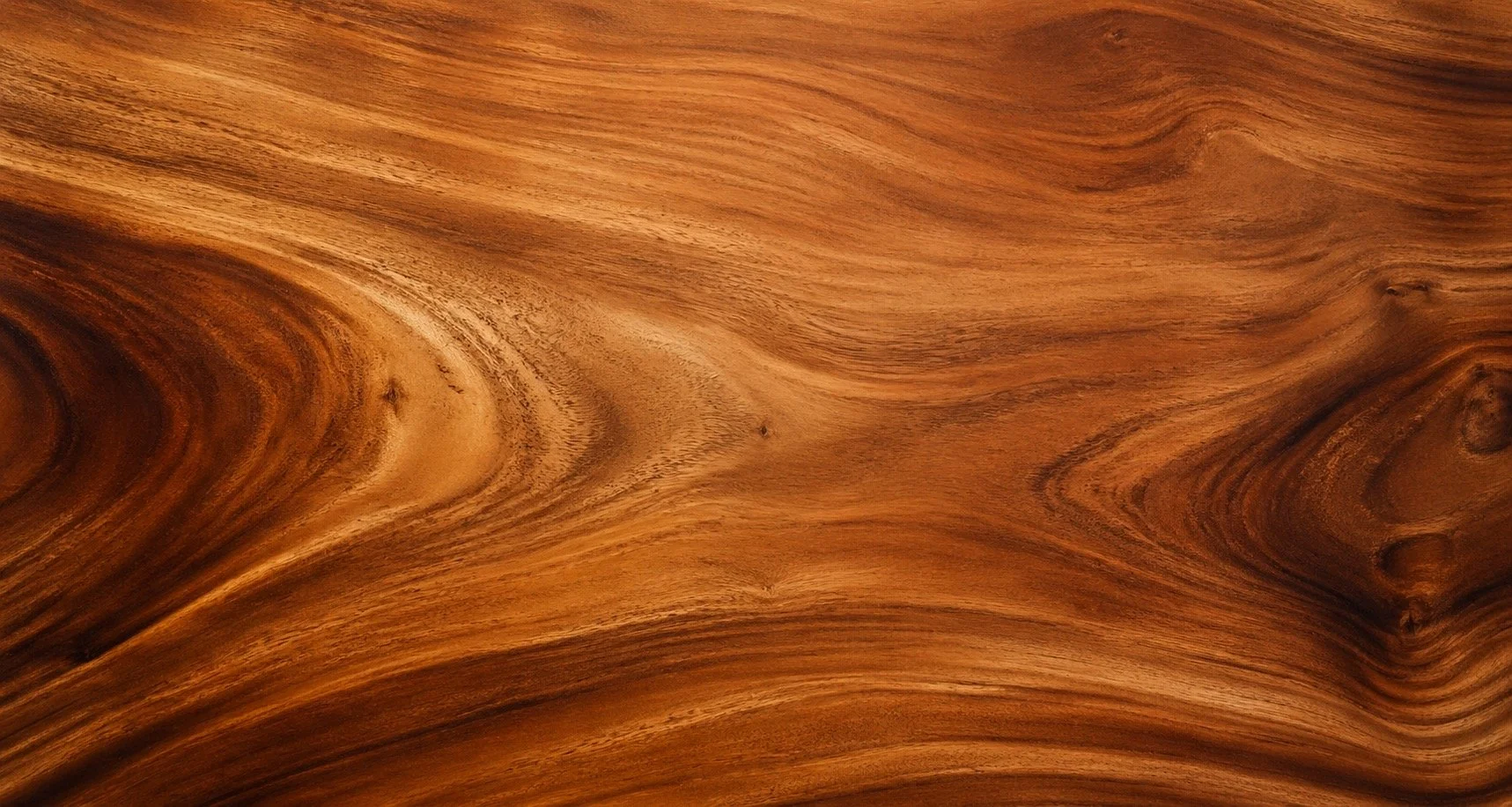 Camphor Laurel Jewellery Box