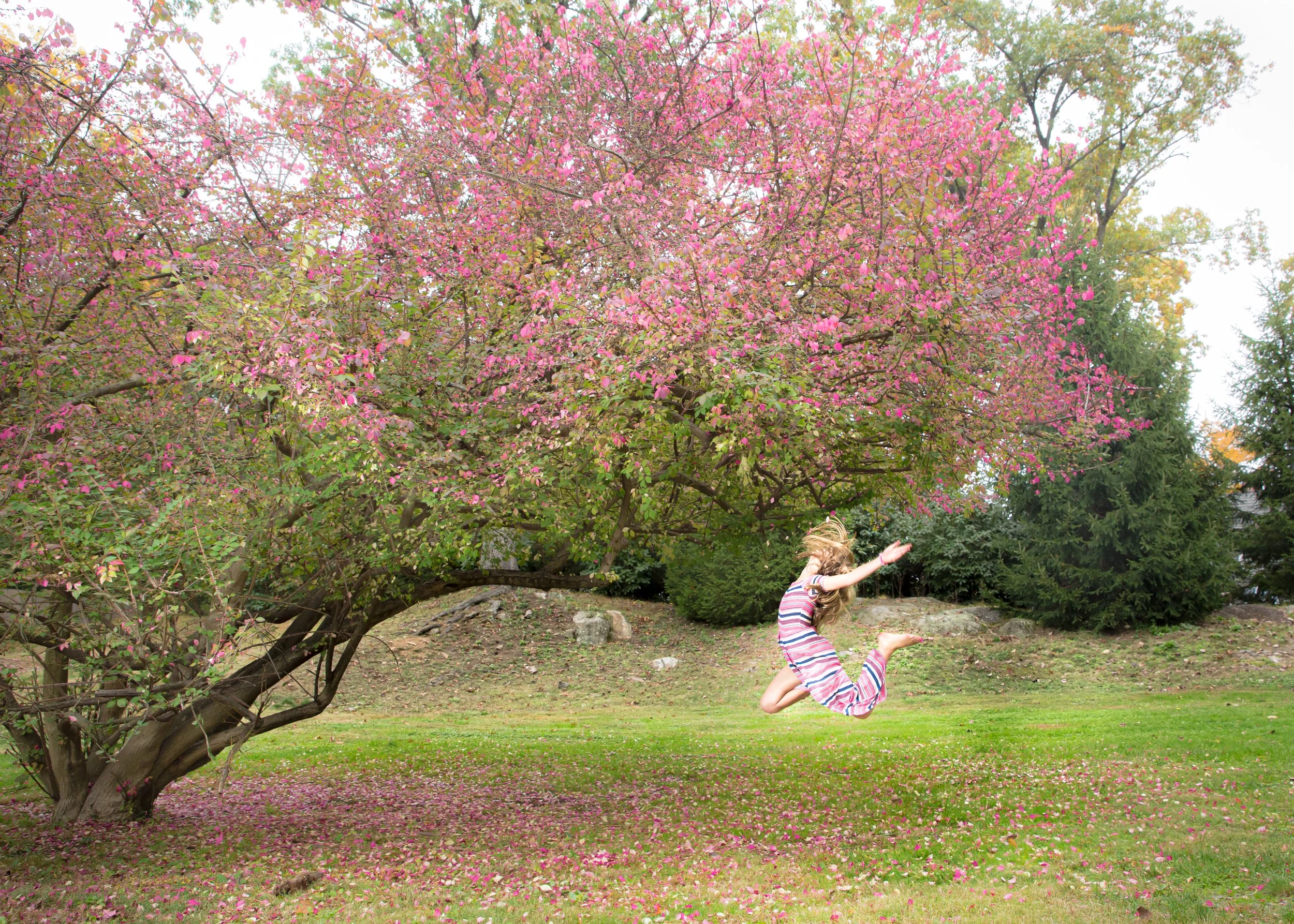Oct%202020_111-SabrinaAschPhotography.jpg