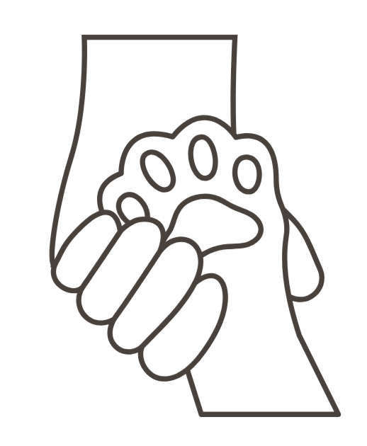 Nail trimming at Lovely Cats to prevent scratching, furniture damage, and overgrowth pain.