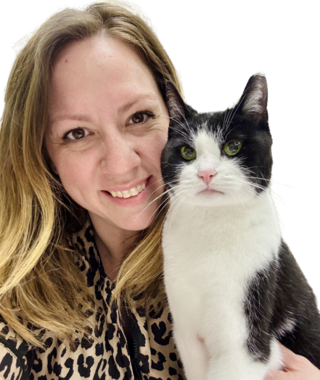 Certified Feline Master Groomer, offering specialized training in cat grooming.