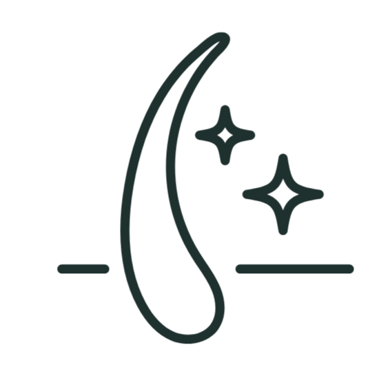 Feline coat care at our cat-exclusive salon in Clinton Township, MI.