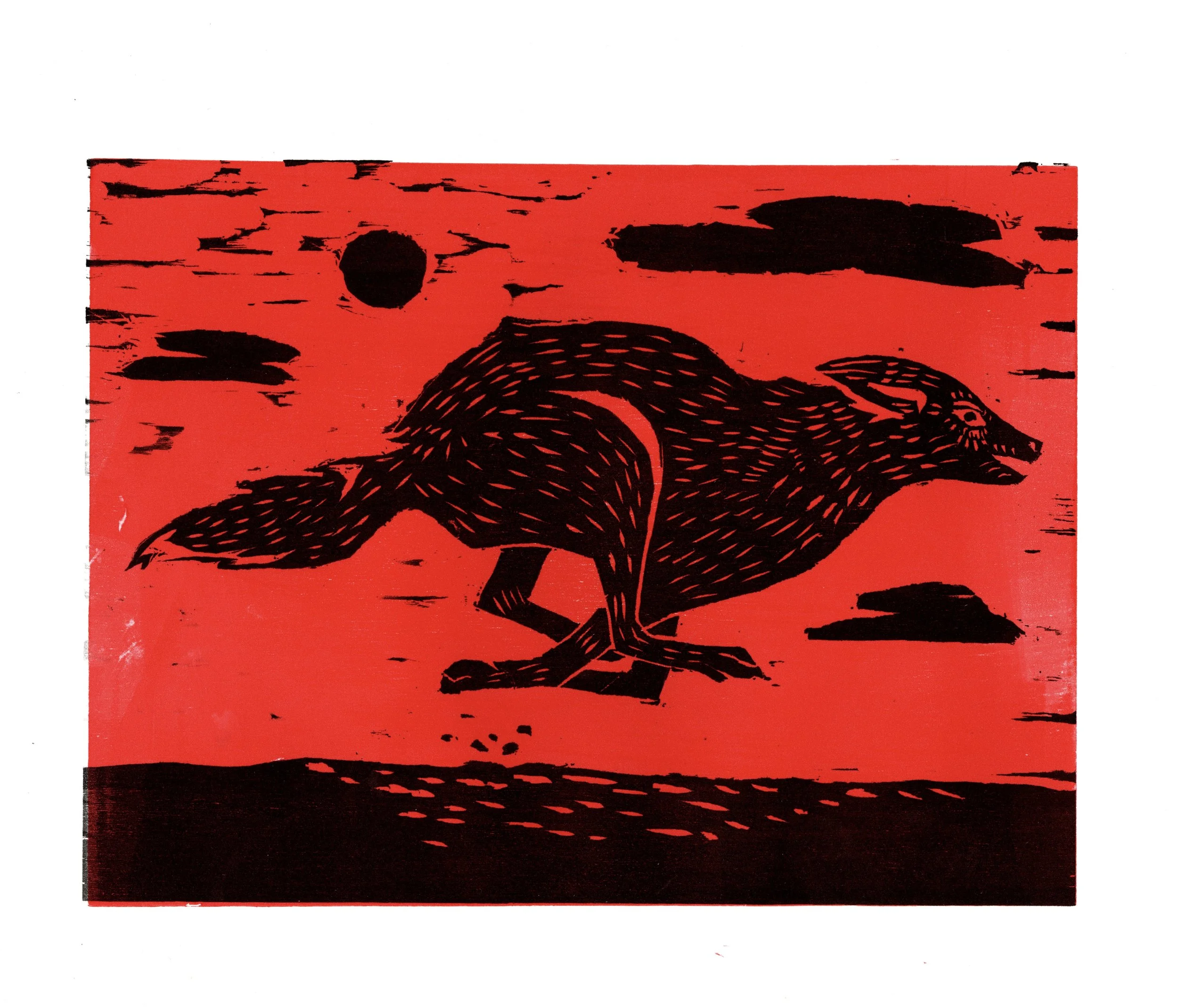 Coyote in the Desert | 2025