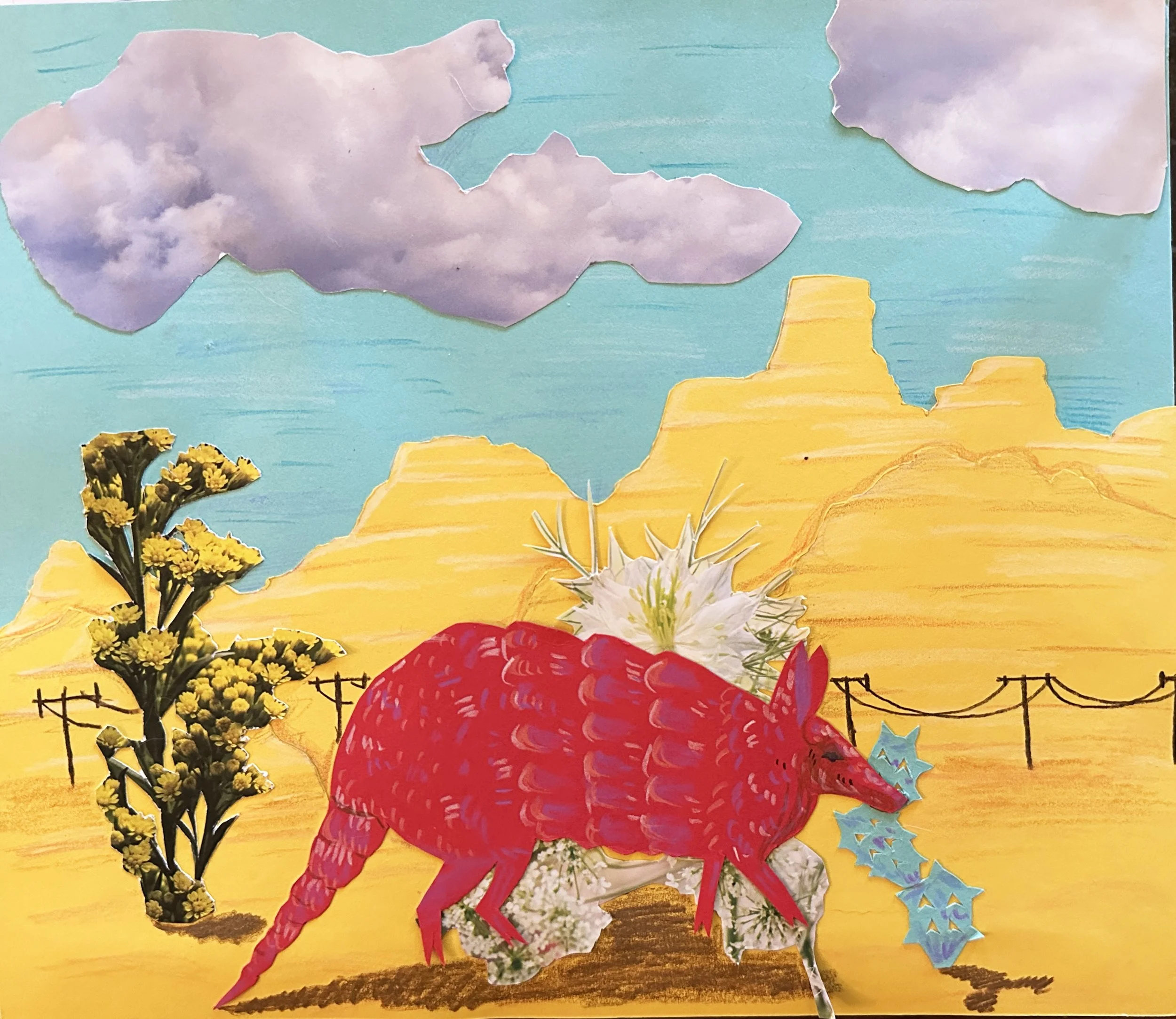 Armadillo | 2025