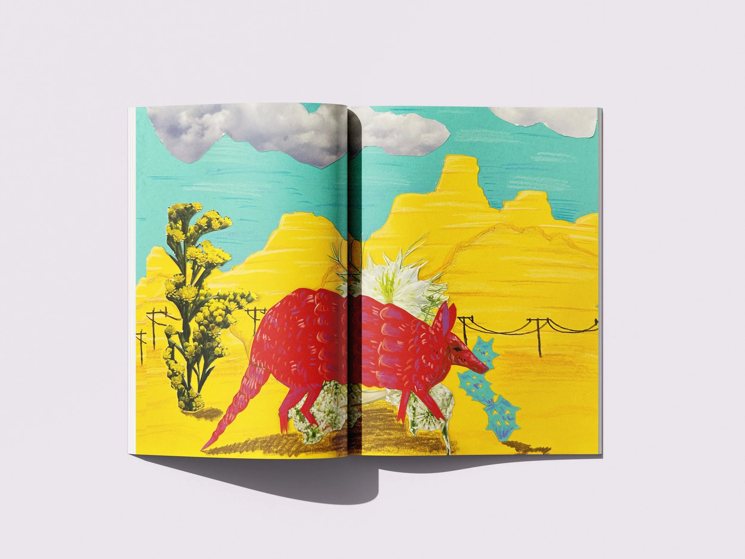 Wild West Wonders | 2024