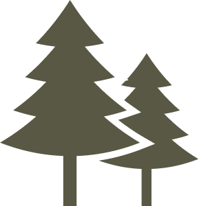 A simple graphic of three stylized pine trees with triangular shapes and straight trunks.