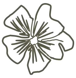 A pixelated image of a clipart flower with five petals.