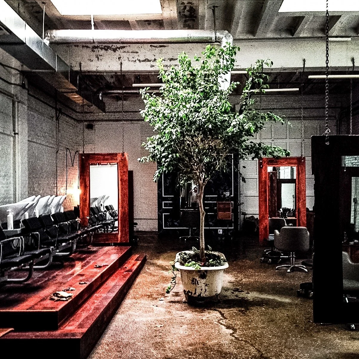 Interior of a salon featuring a large potted tree in the center, hair styling chairs, mirrors, and wash stations.