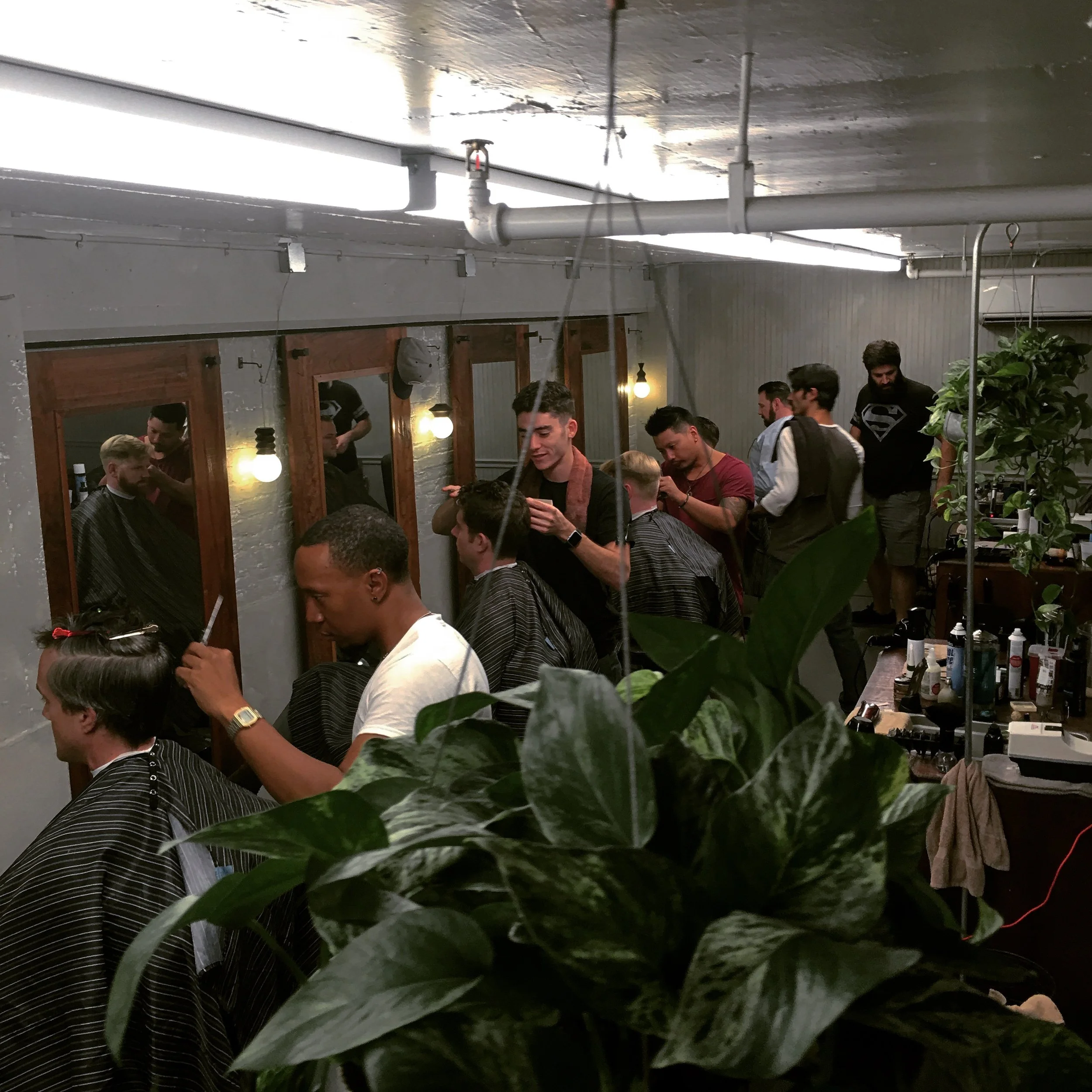 People getting haircuts in a barbershop, with customers seated in barber chairs and barbers working, reflected in mirrors on a grey wall, with plants and salon supplies in the foreground and background.