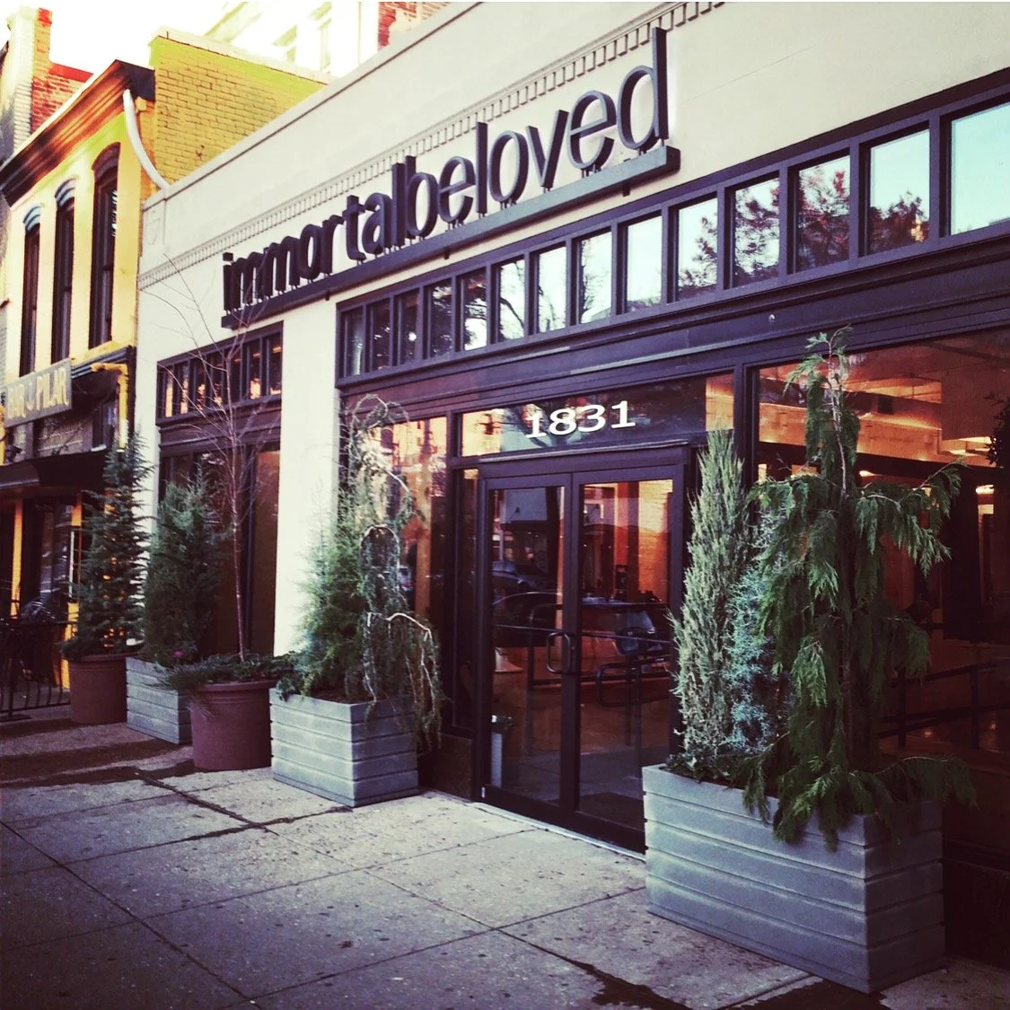 Exterior of a restaurant called 'immar ta beloved' with potted evergreen trees outside and a glass door with the number 1831 above it.