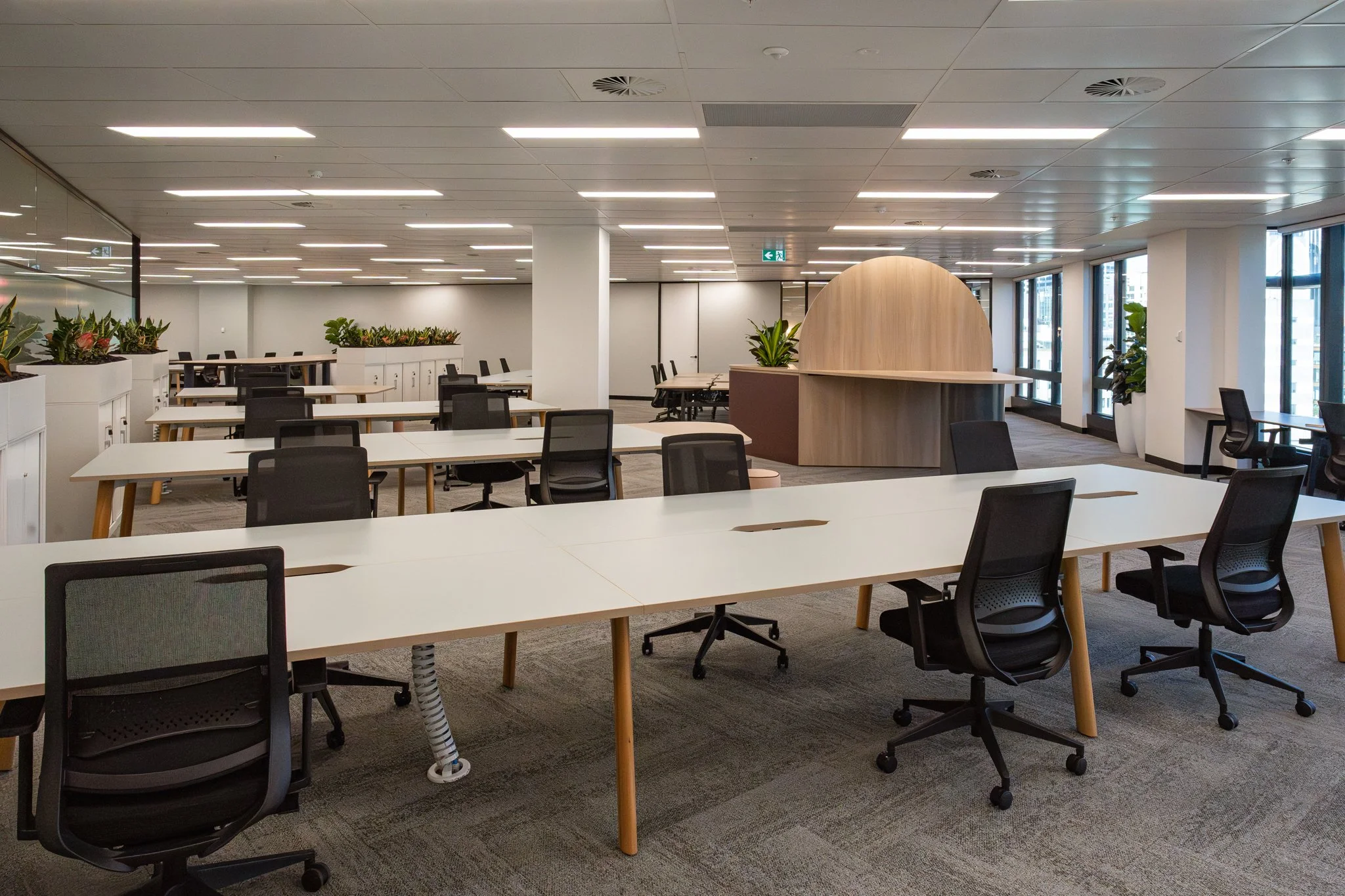 L11-L12-50-Carrington-St_S-17.jpg