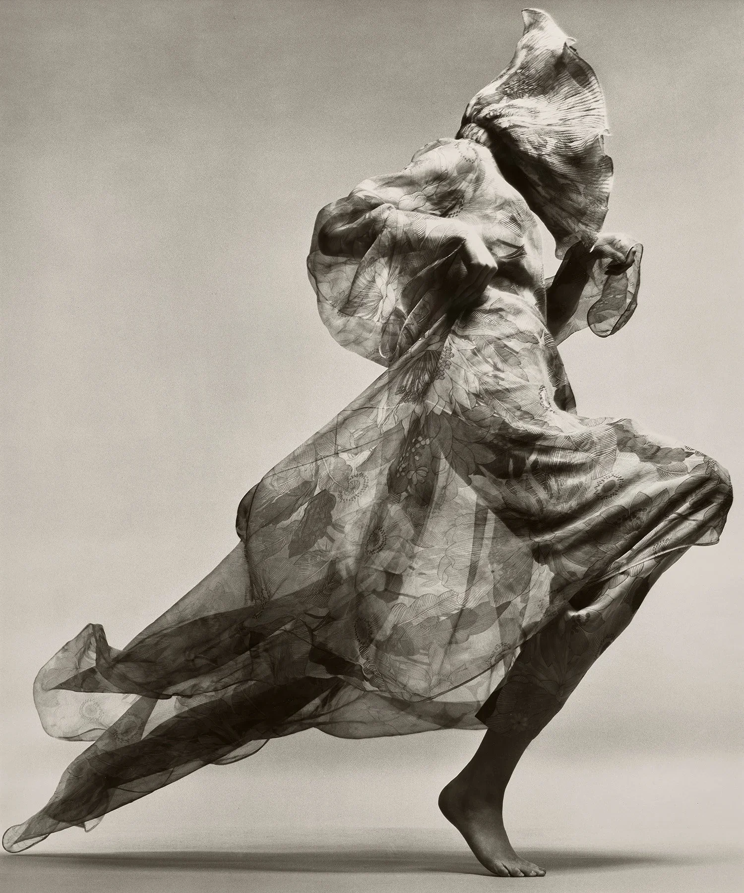 Elegance & Provocation | Ithaca Gallery