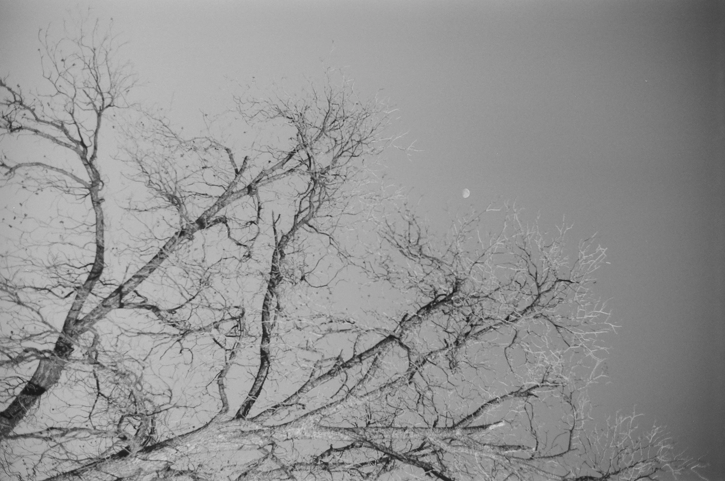 Staying Socially Alive