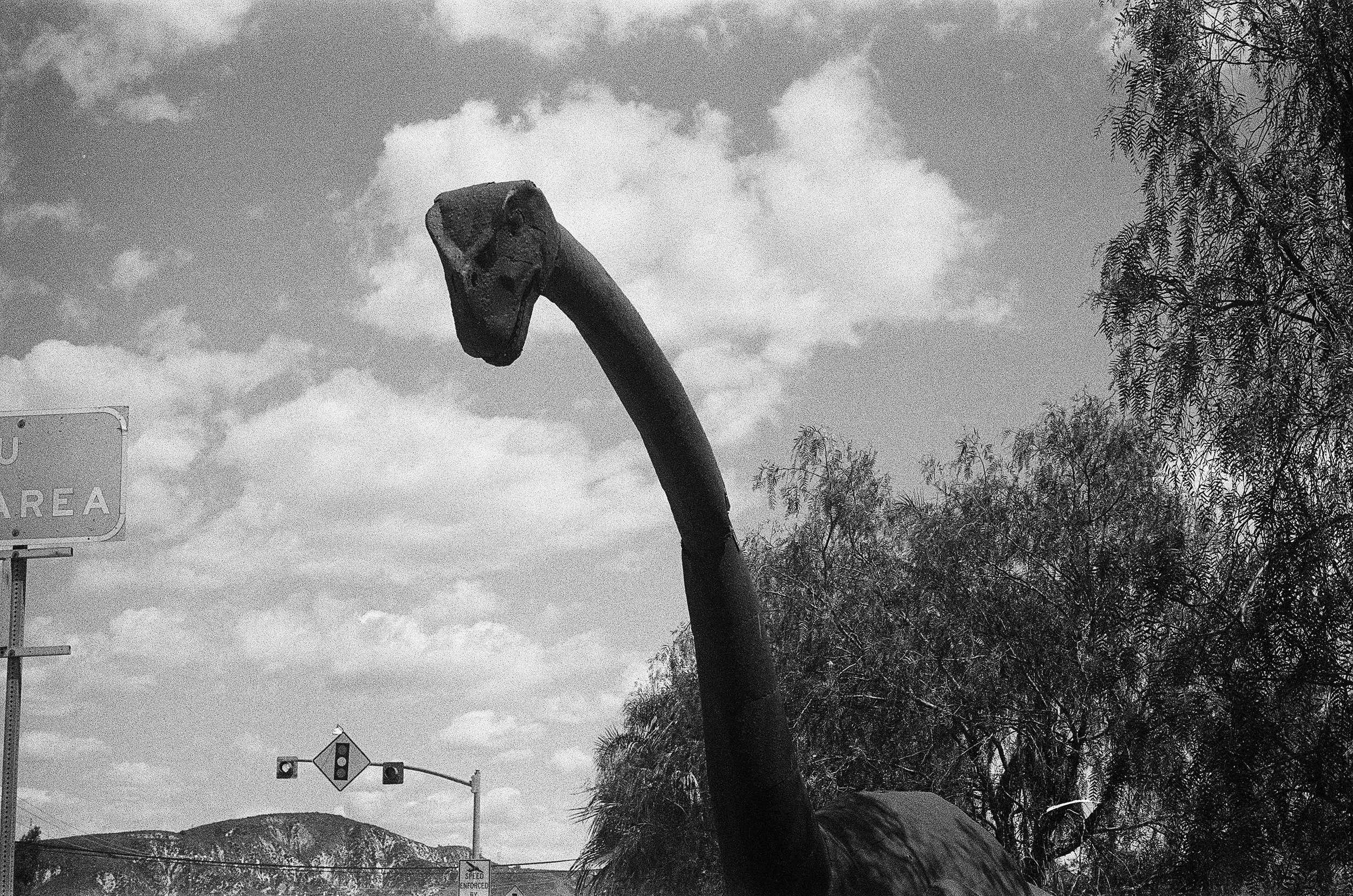 The Critical Examination of “Pocodisco” 