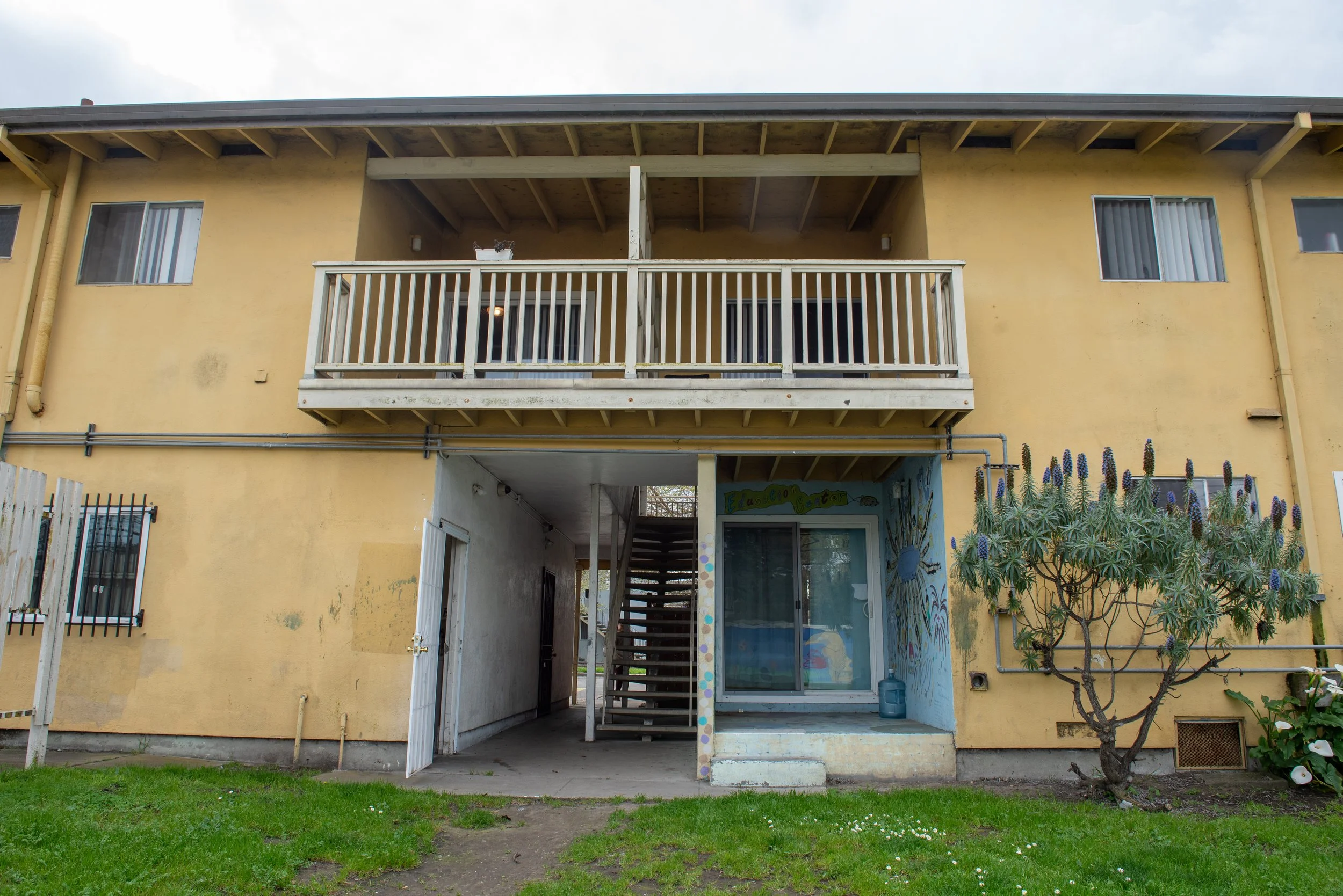 White Paper Research