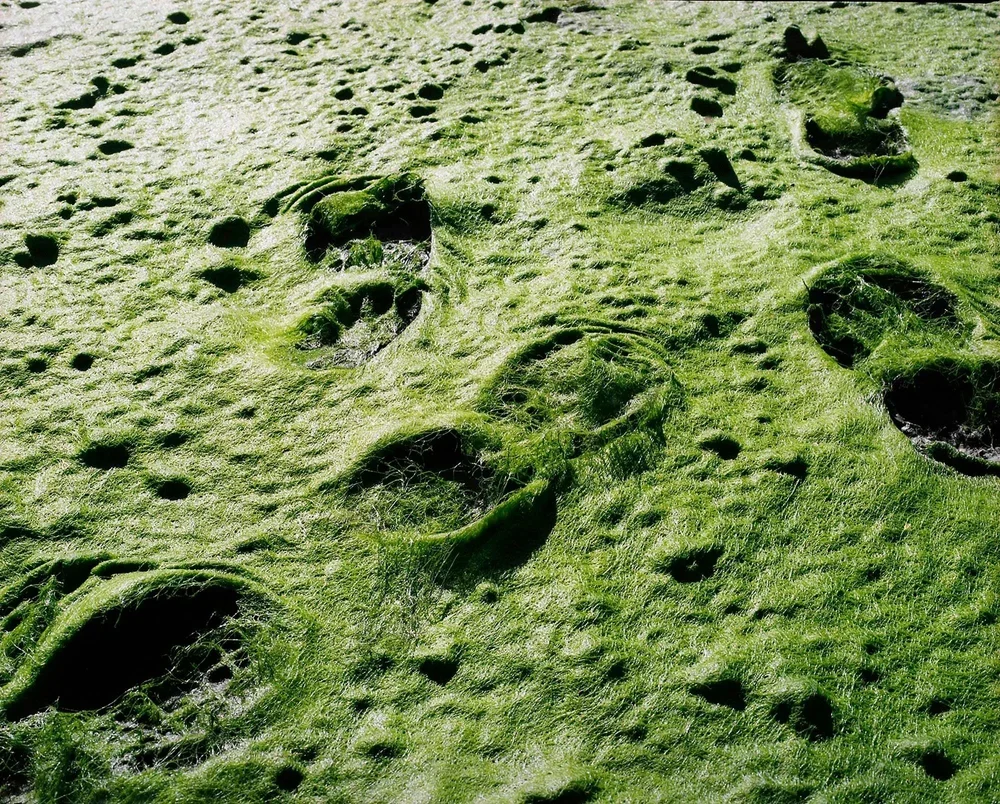 Florian Luthi: Meteor Ghosts | Maison de l'enfance et de l'adolescence