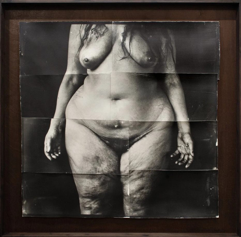  Nicol Vizioli: In the Half-Light / Forms of Apparition